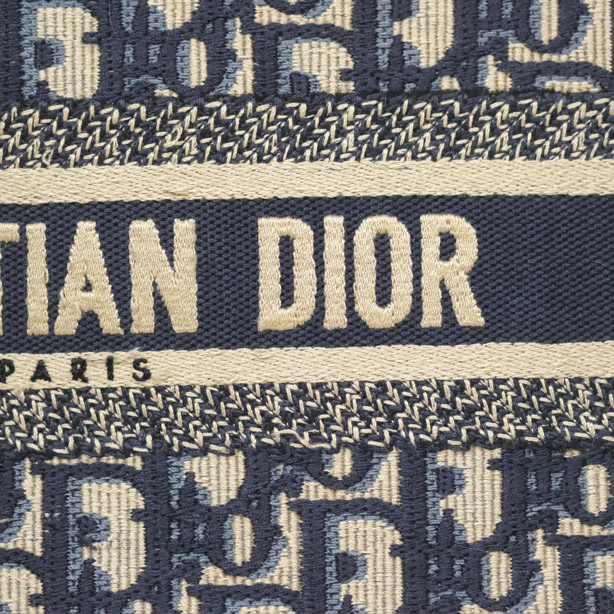Dior Mini Book Tote Blue Oblique Canvas