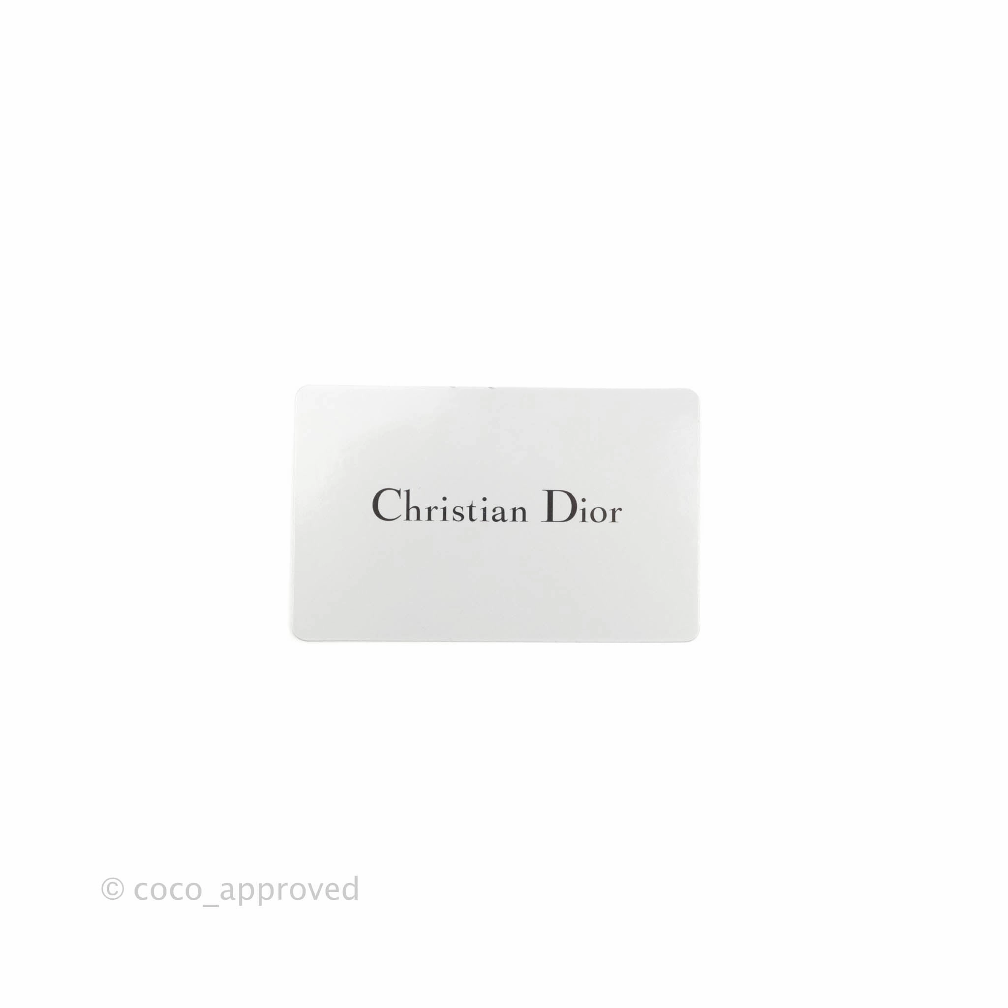 Dior Mini Saddle Shoulder Strap Pouch Black Goatskin