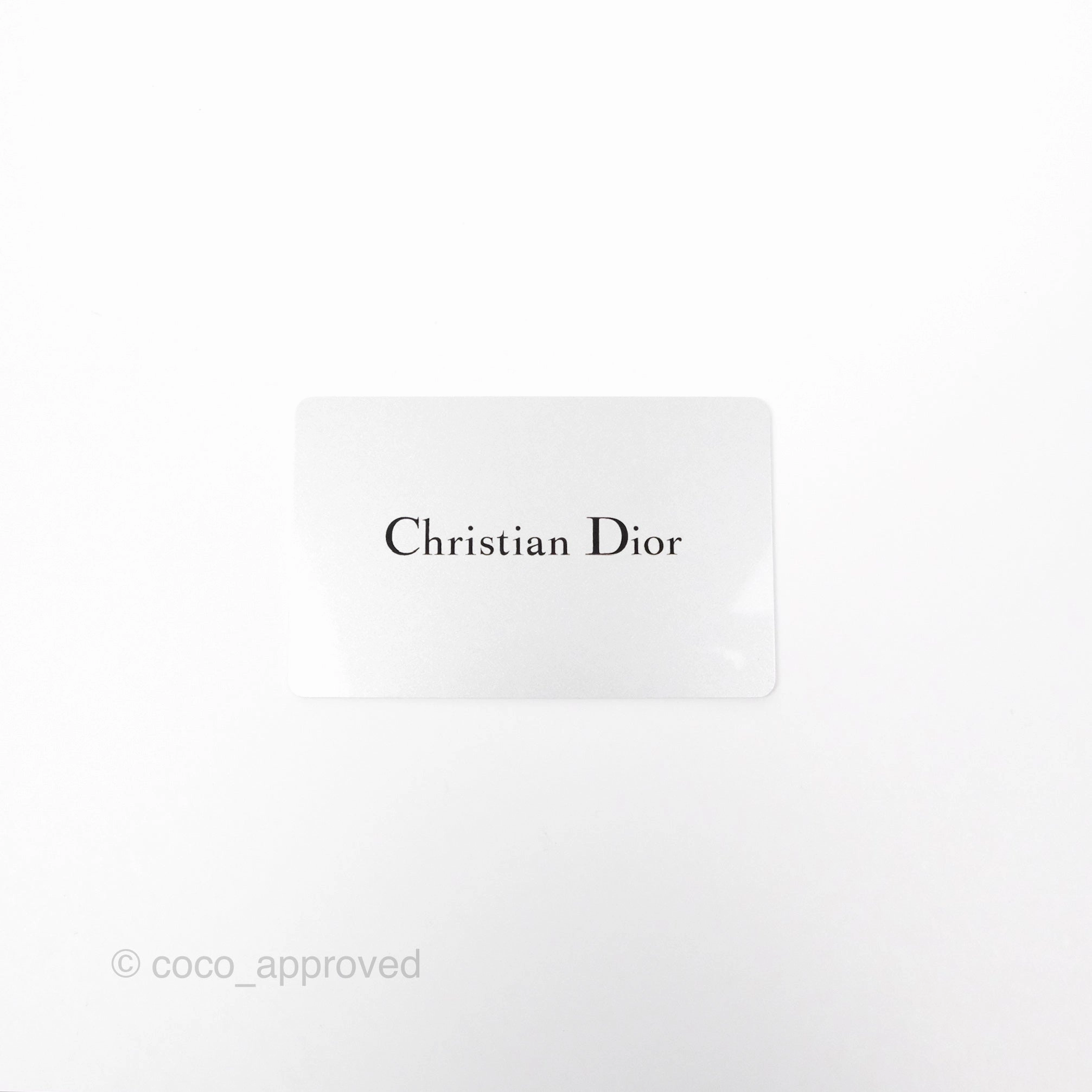 Dior Mini Vertical Gray Oblique Embroidery Book Tote