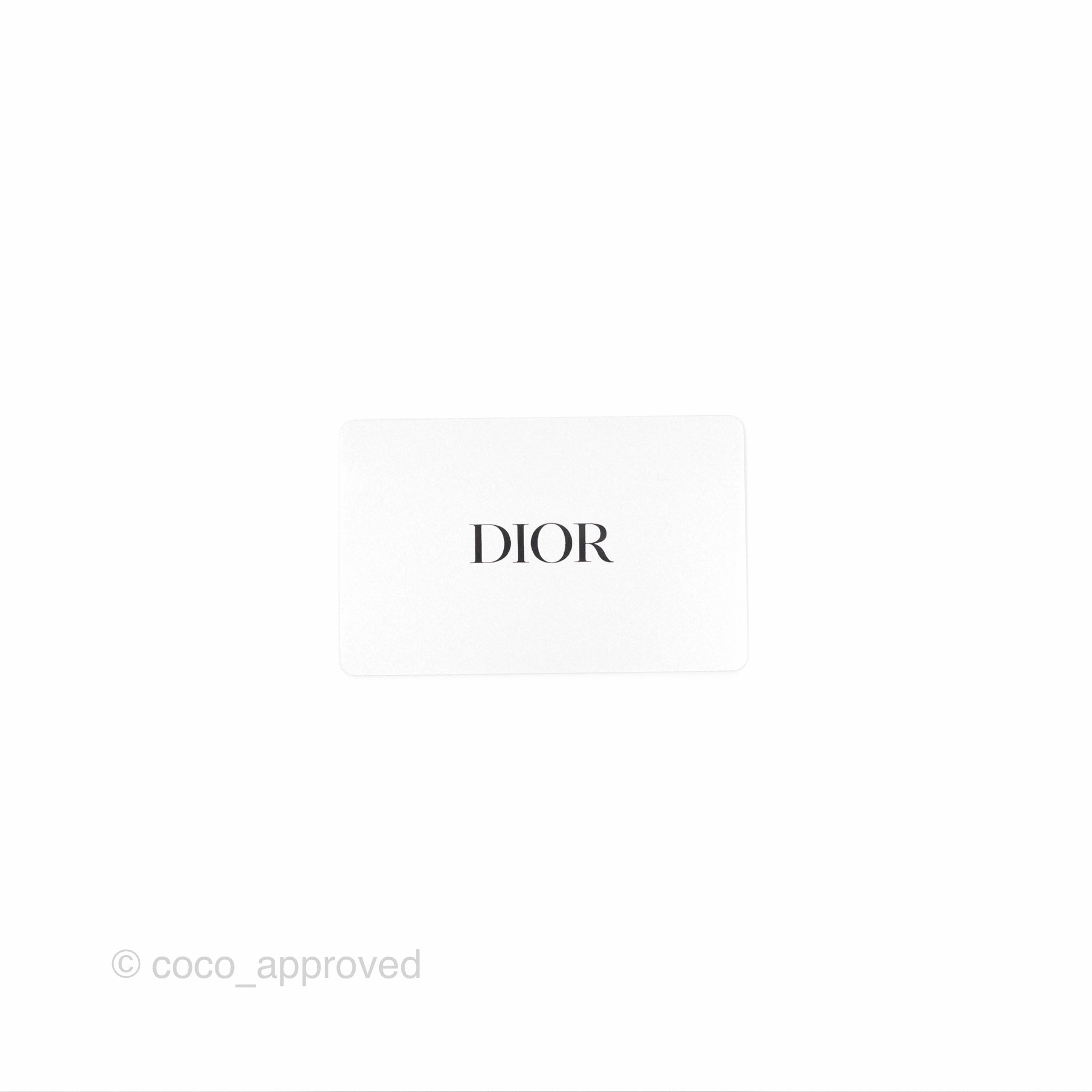 Dior Small Caro Bag Latte Lucky Star White Cannage Lambskin