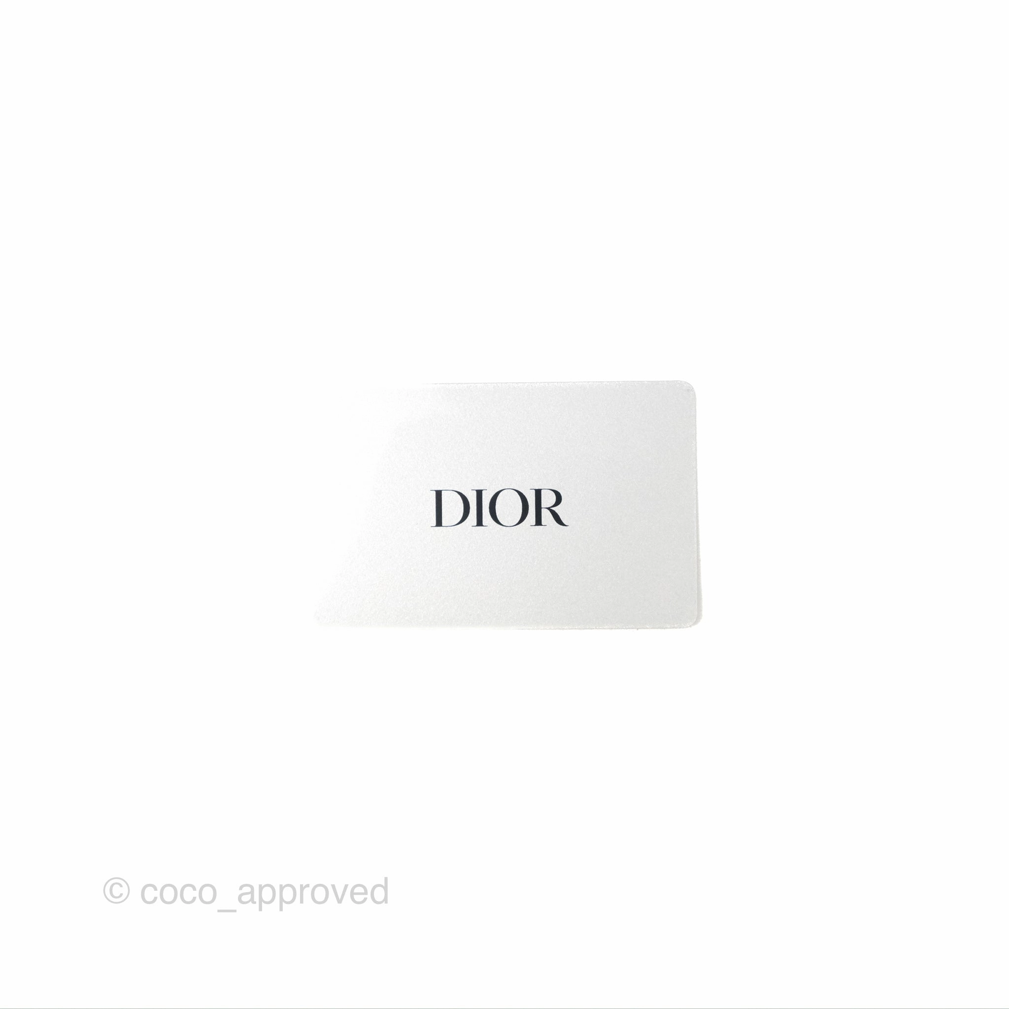 Dior Small Dior Vibe Zip Bowling Bag White Navy