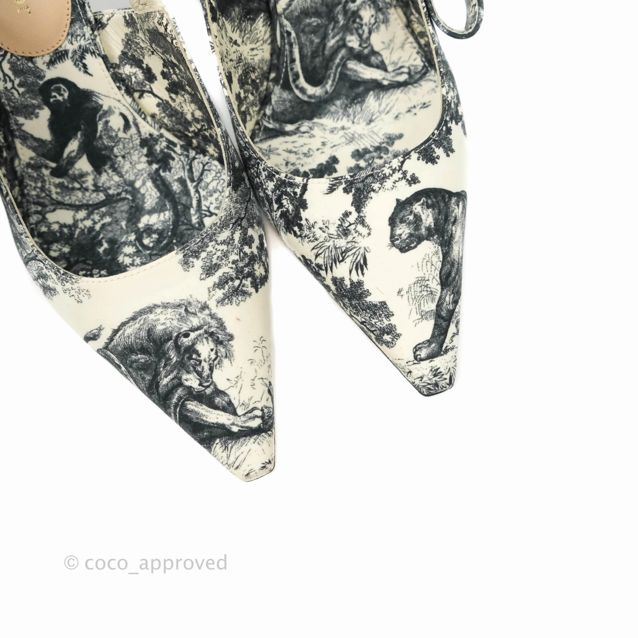 Dior Toile De Jouy Sweet-D Size 35.5