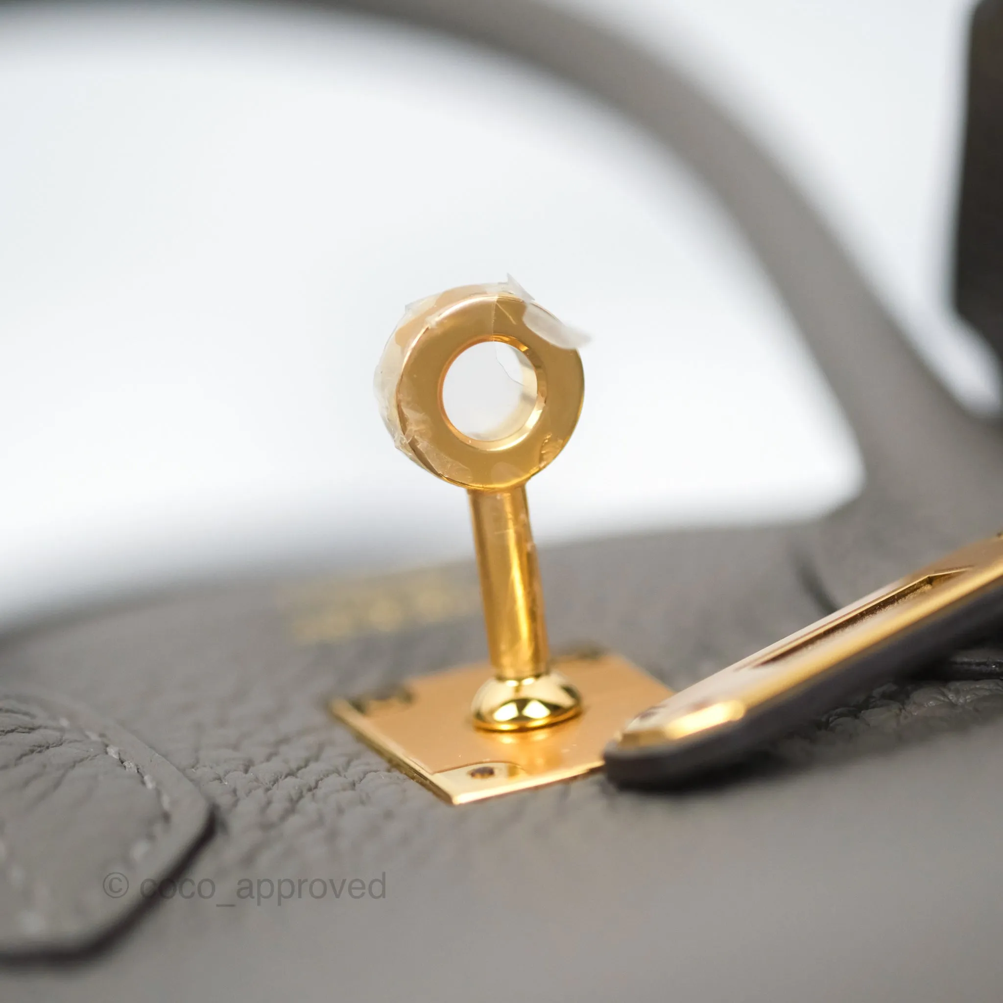 Hermes Birkin 25 Retourne Gris Meyer 0L Togo Gold Hardware
