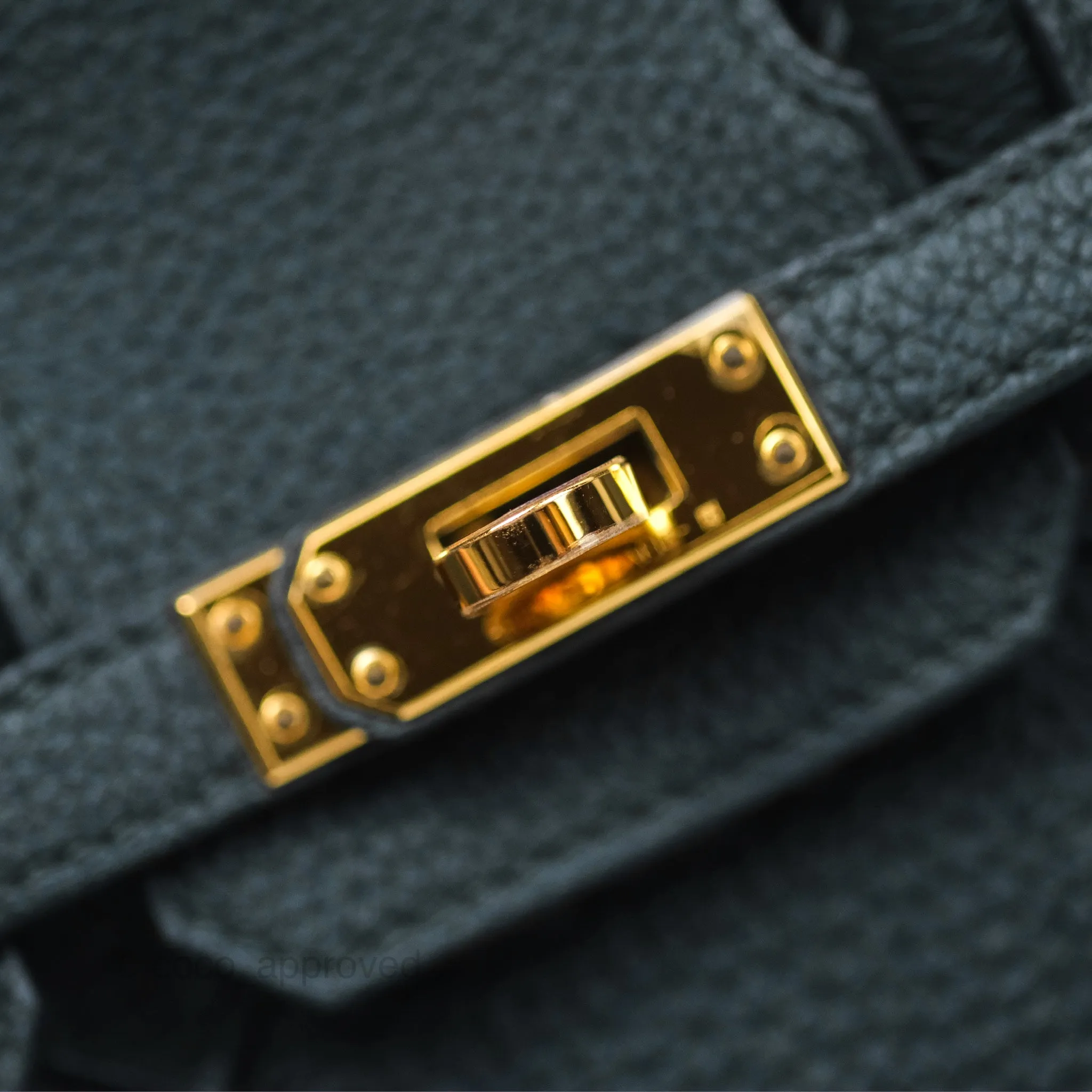 Herms Birkin 25 Retourne Vert Cypres 6O Togo Gold Hardware