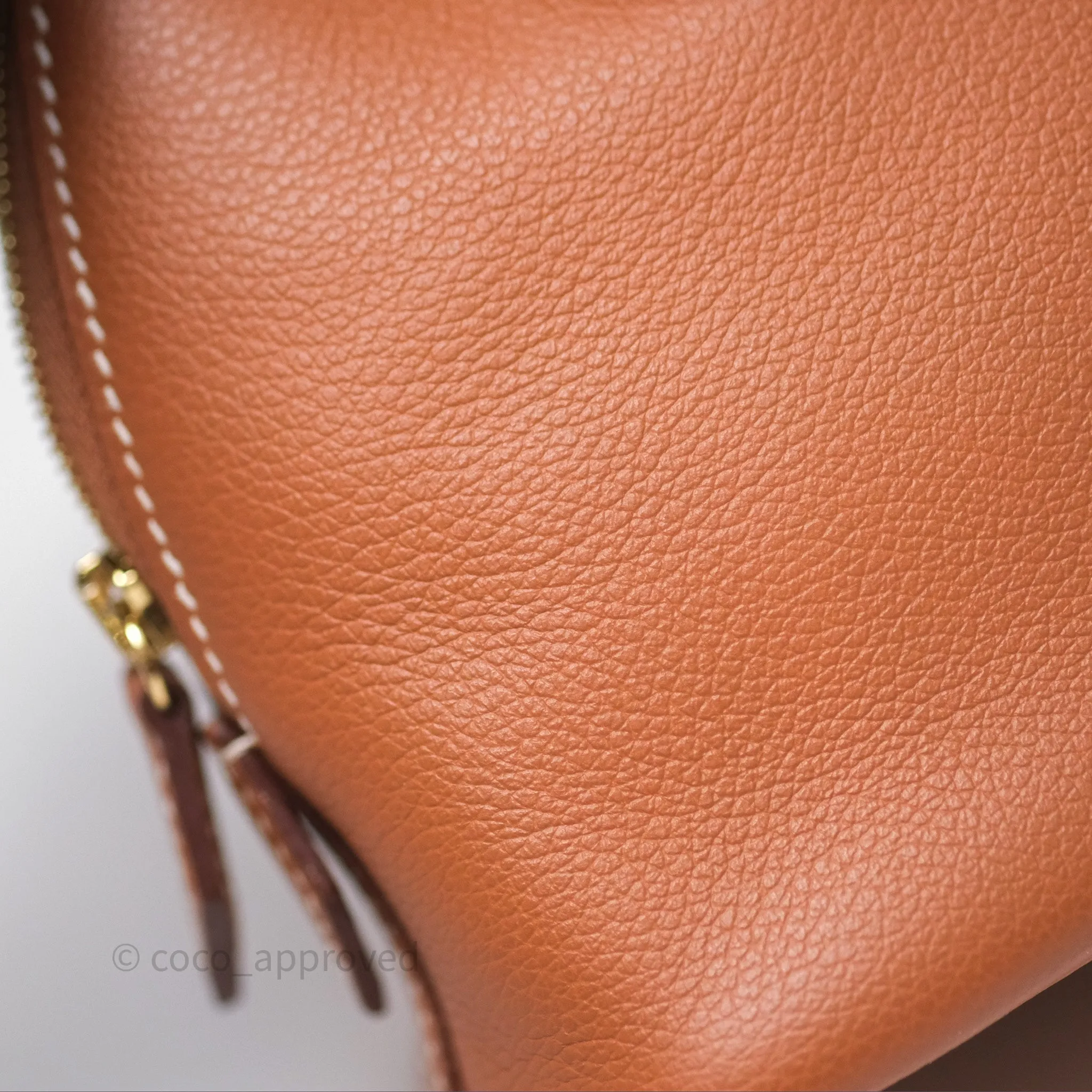 Herms Bolide Mini 1923 Gold 37 Evercolor Gold Hardware