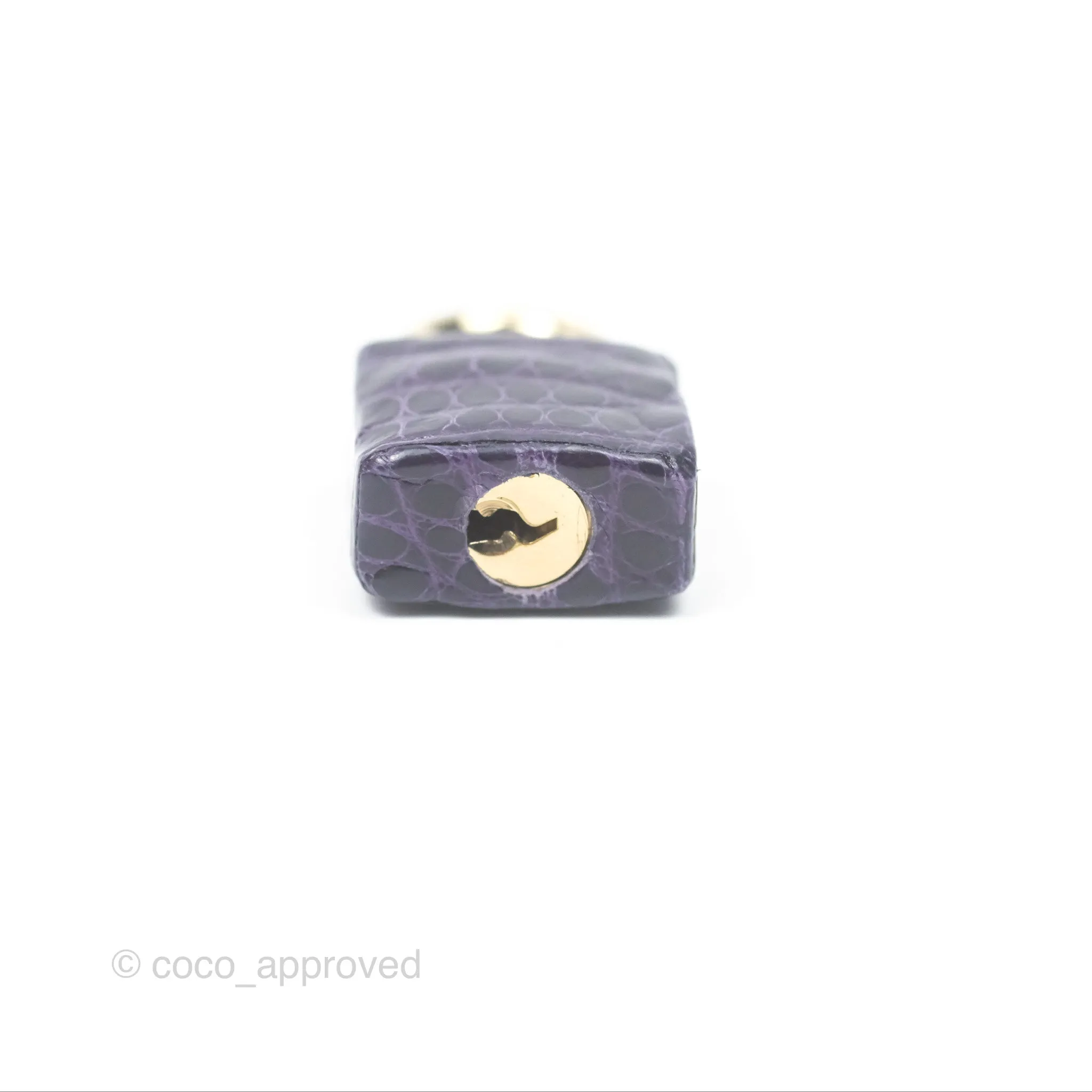 Herms Kelly 25 Sellier Touch Anemone/ Amethyste Madame/ Croc Gold Hardware