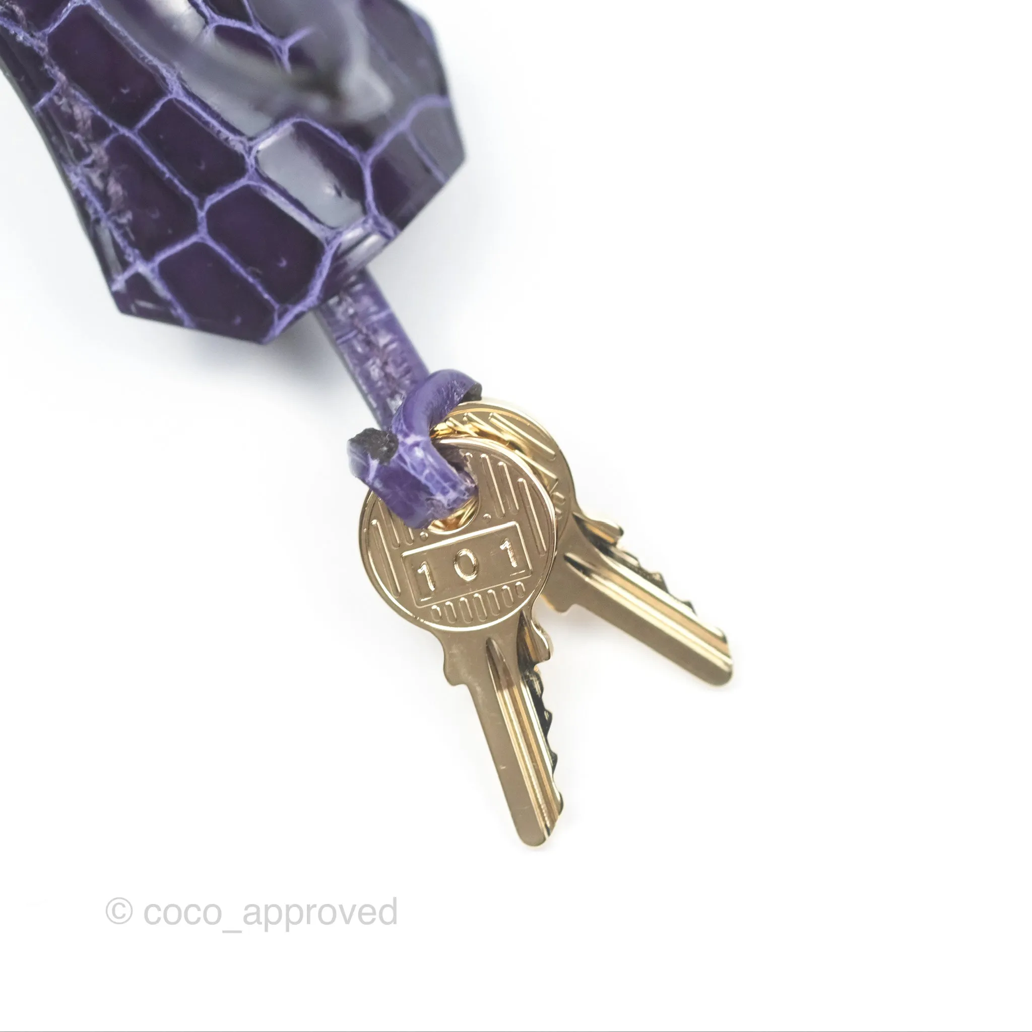 Herms Kelly 25 Sellier Touch Anemone/ Amethyste Madame/ Croc Gold Hardware
