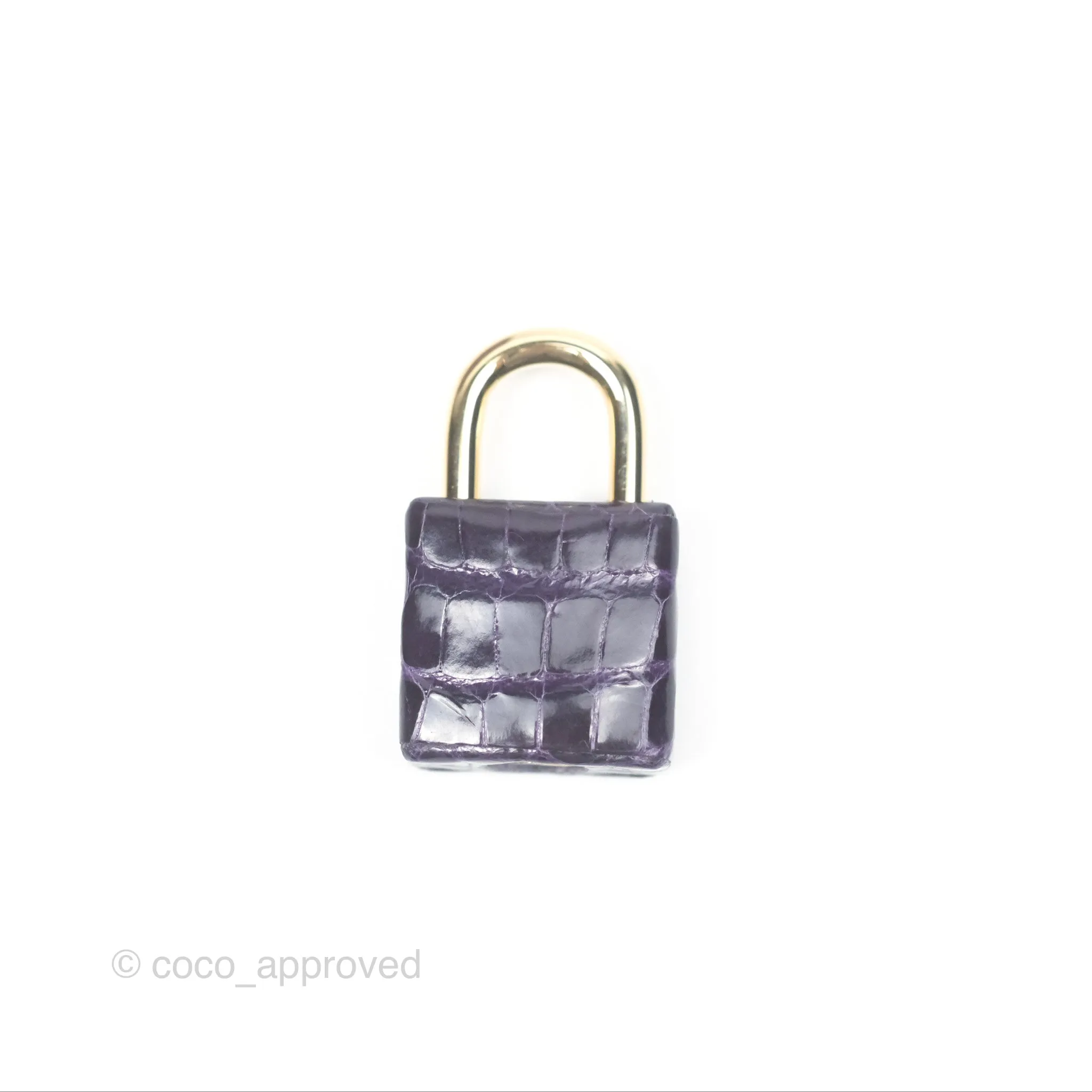 Herms Kelly 25 Sellier Touch Anemone/ Amethyste Madame/ Croc Gold Hardware