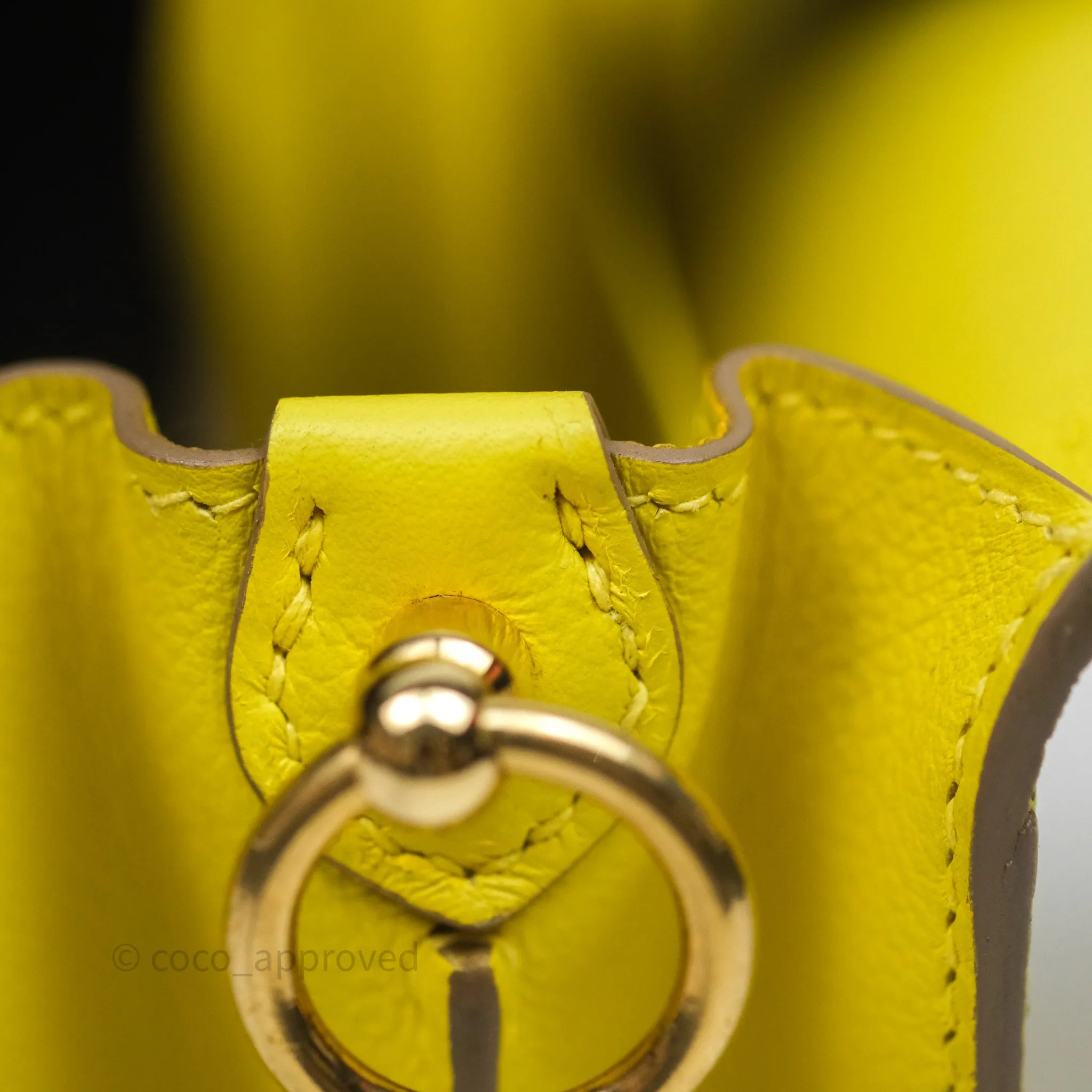 Herms Roulis Mini 18 Lime 9R Evercolor Gold Hardware