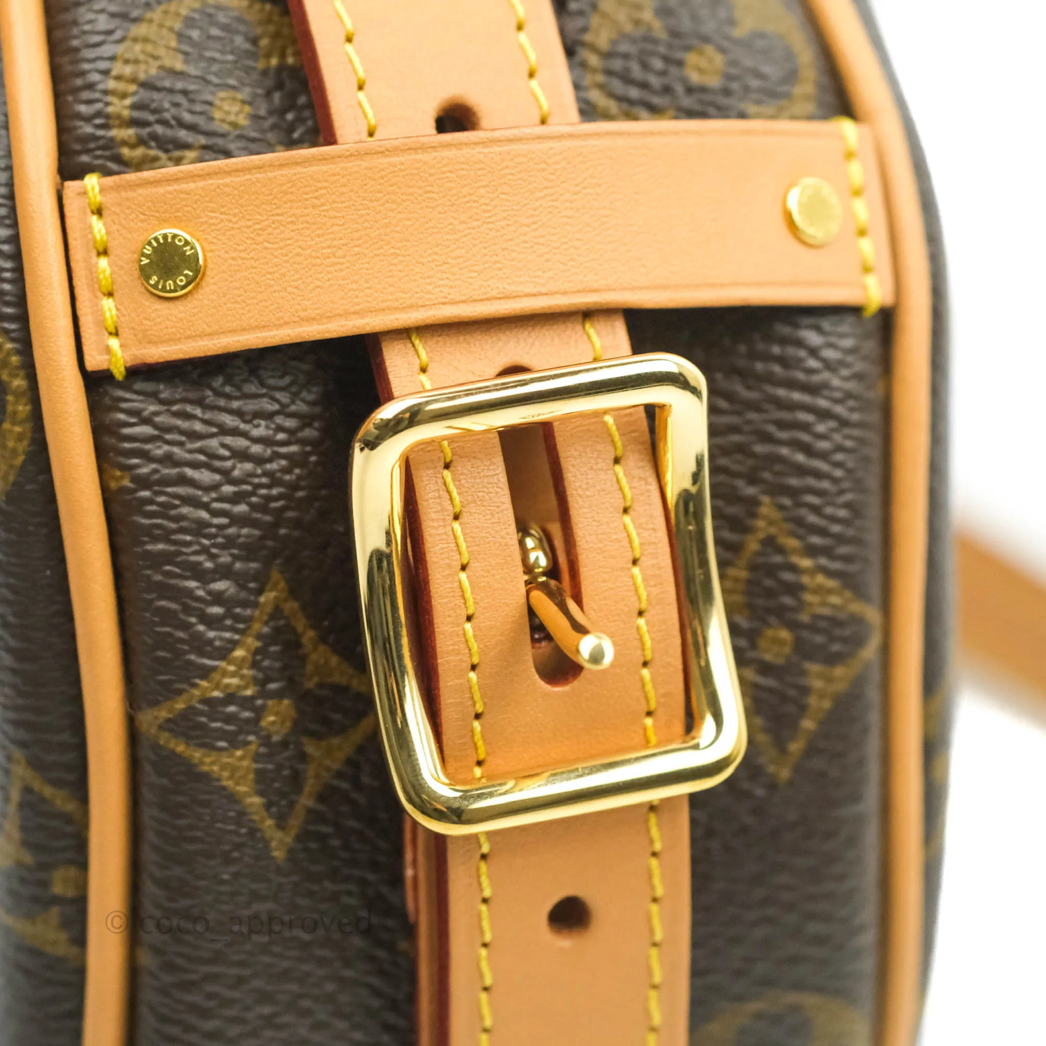 Louis Vuitton Boite Chapeau Souple PM Monogram Shoulder Bag