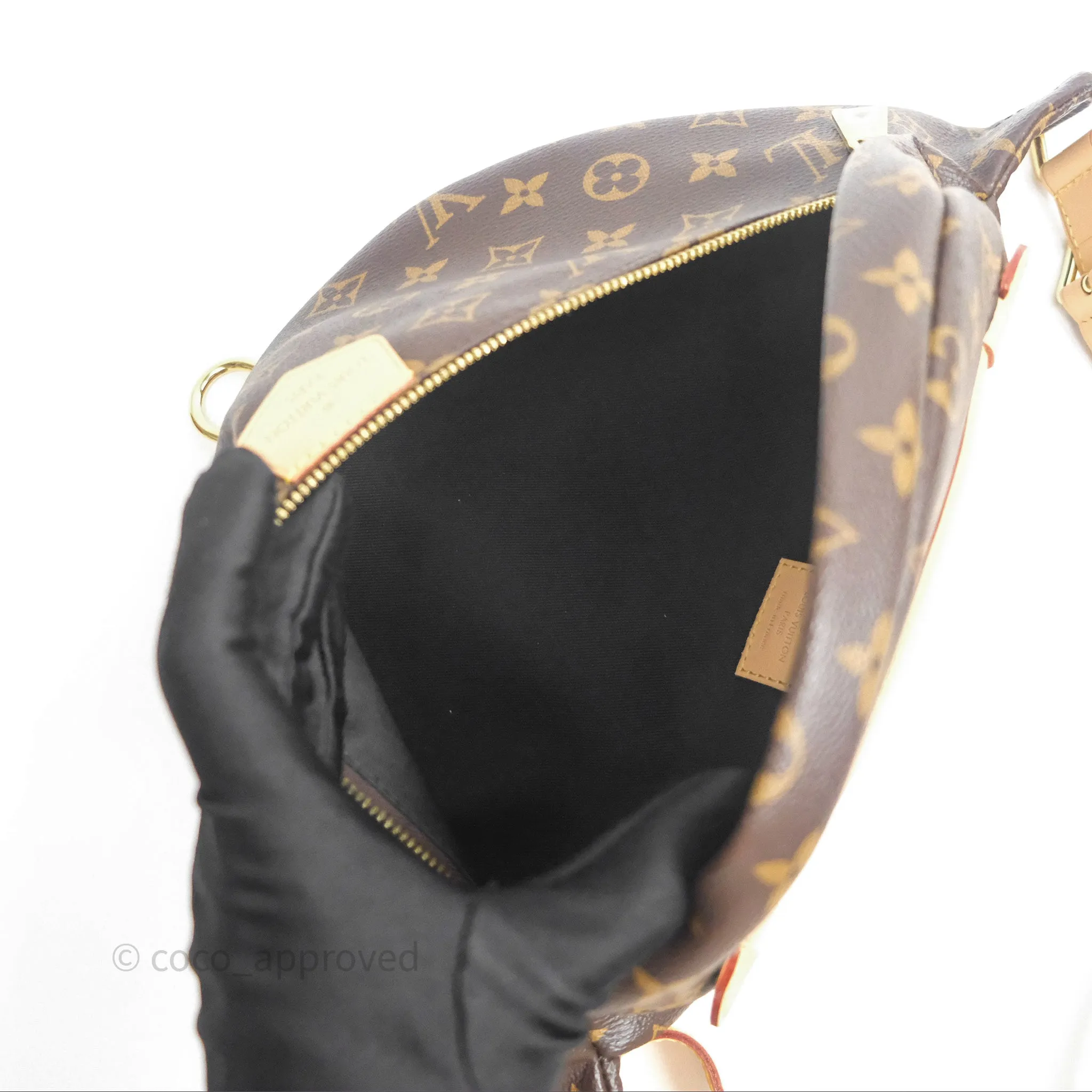 Louis Vuitton Bum Bag Monogram Canvas