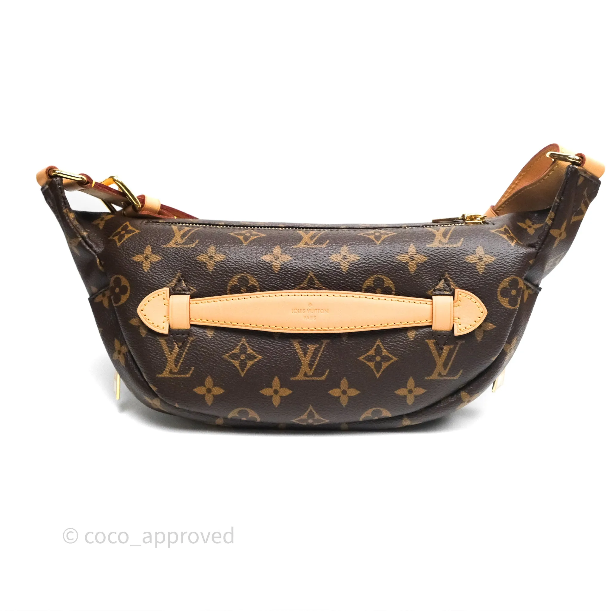 Louis Vuitton Bum Bag Monogram Canvas