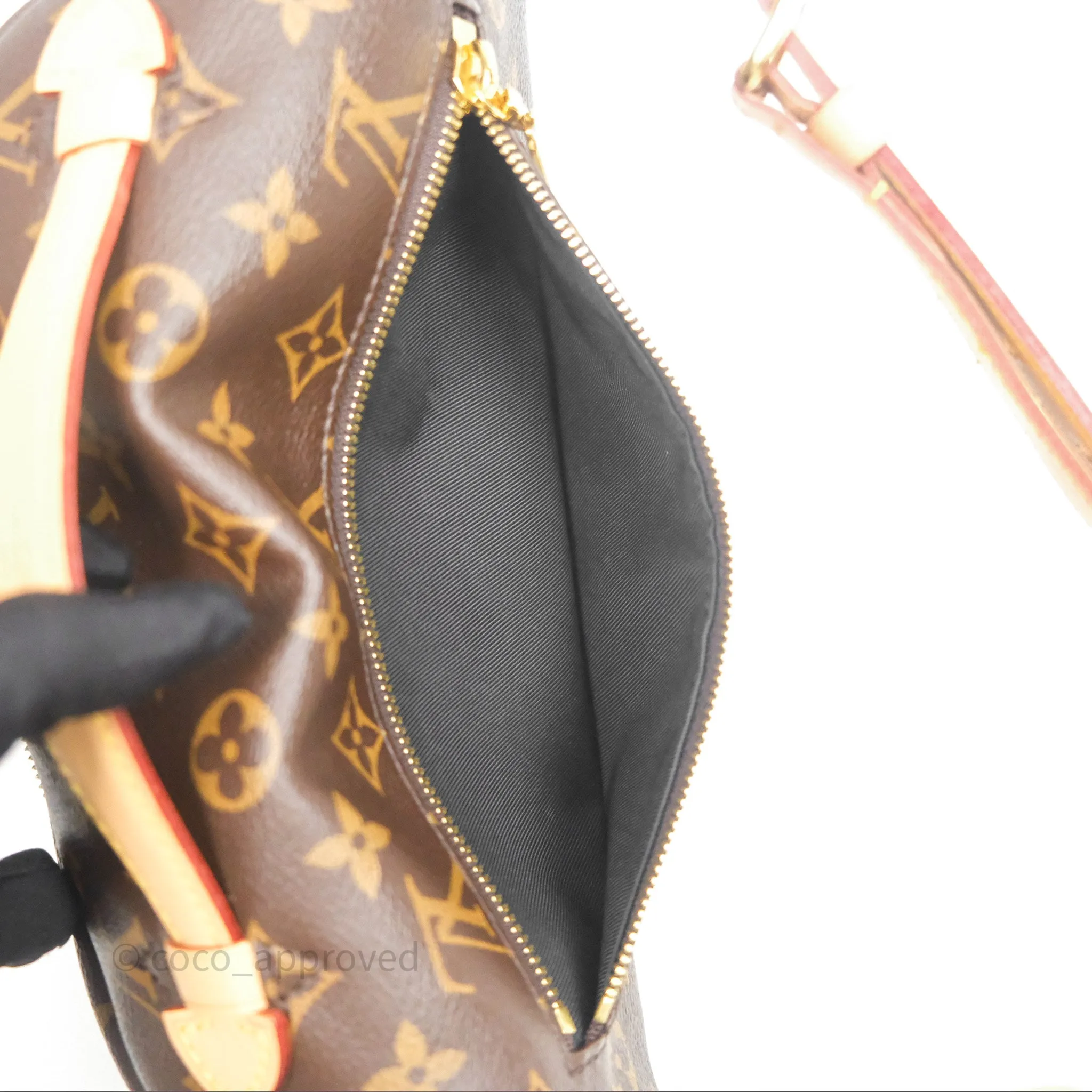 Louis Vuitton Bum Bag Monogram Canvas