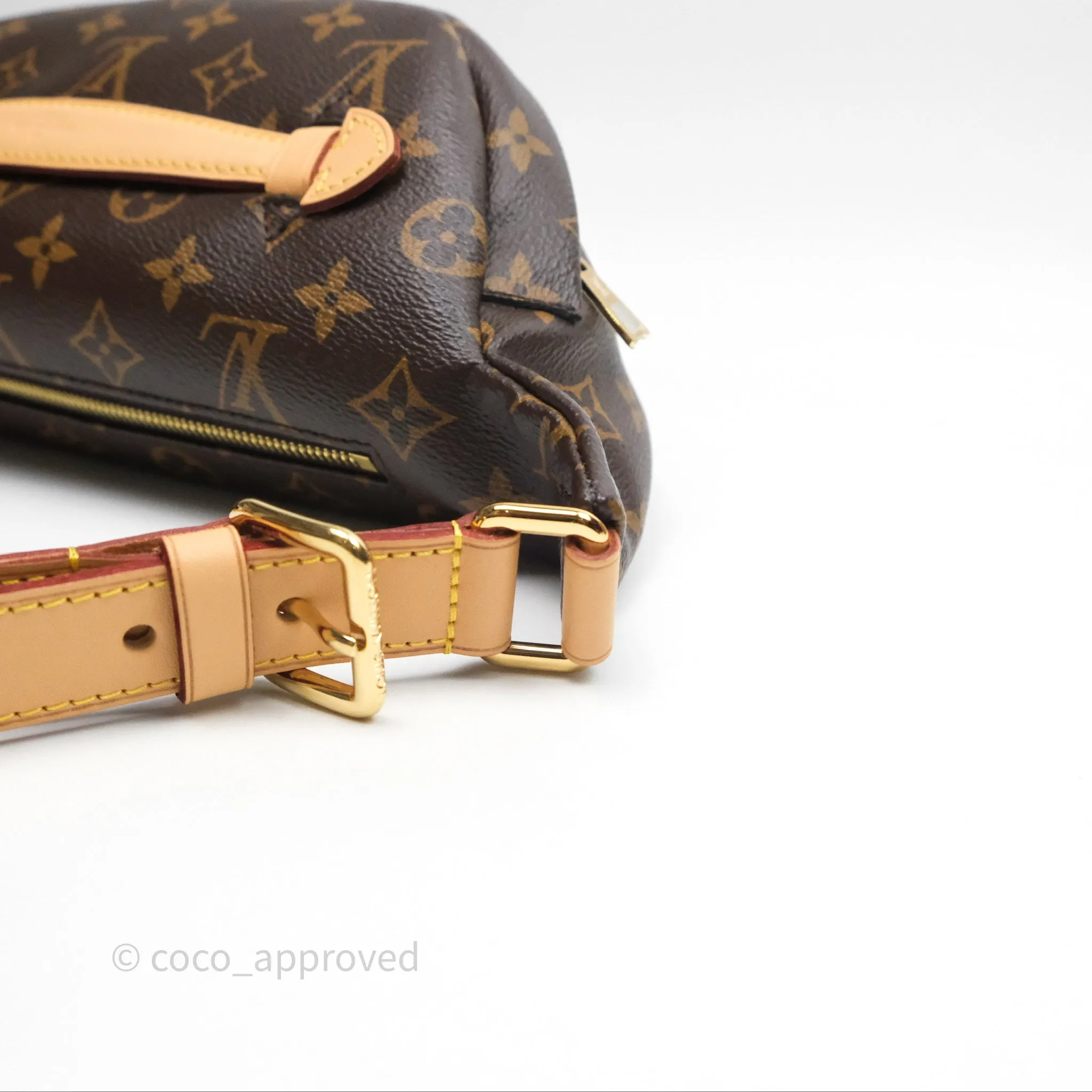 Louis Vuitton Bum Bag Monogram Canvas