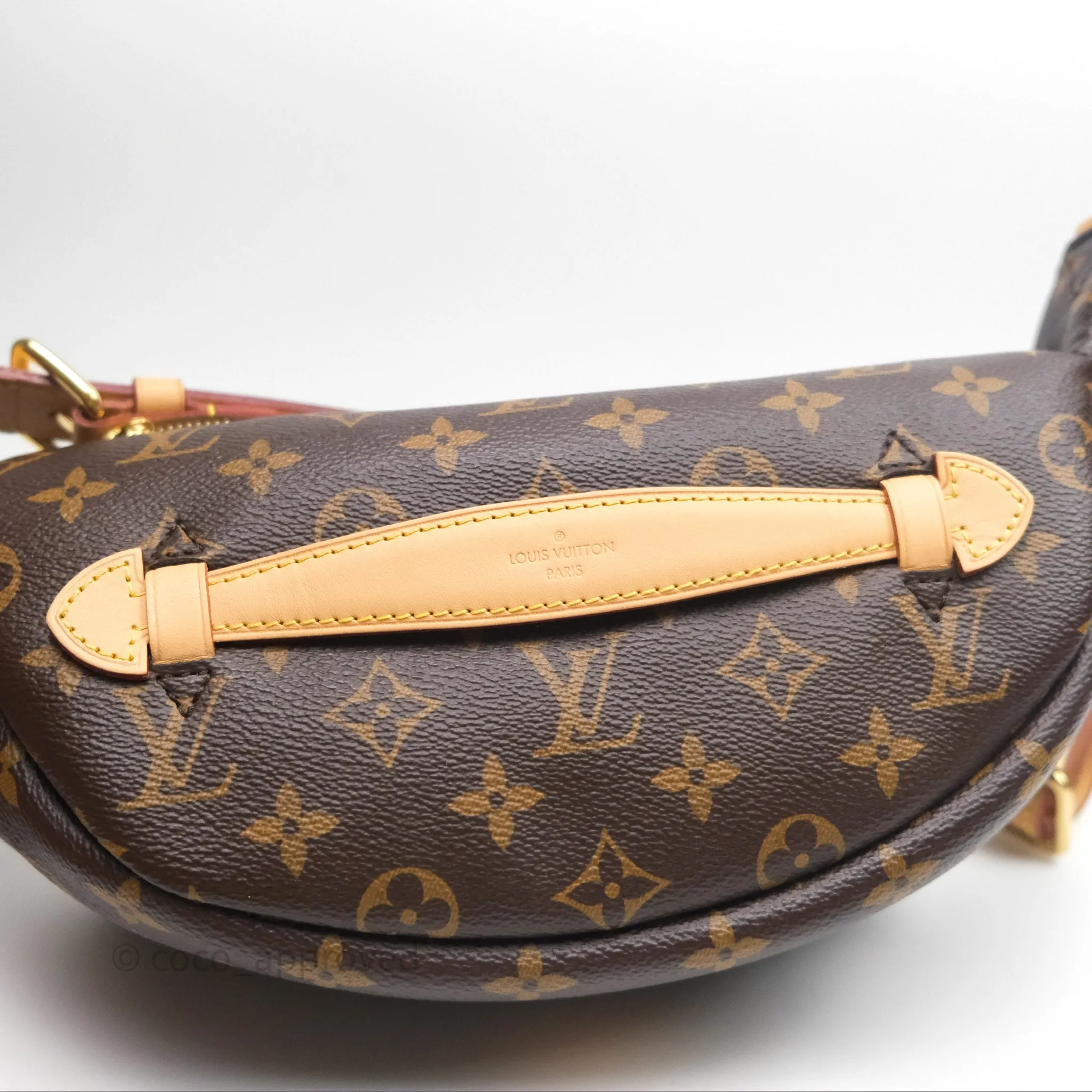 Louis Vuitton Bum Bag Monogram Canvas