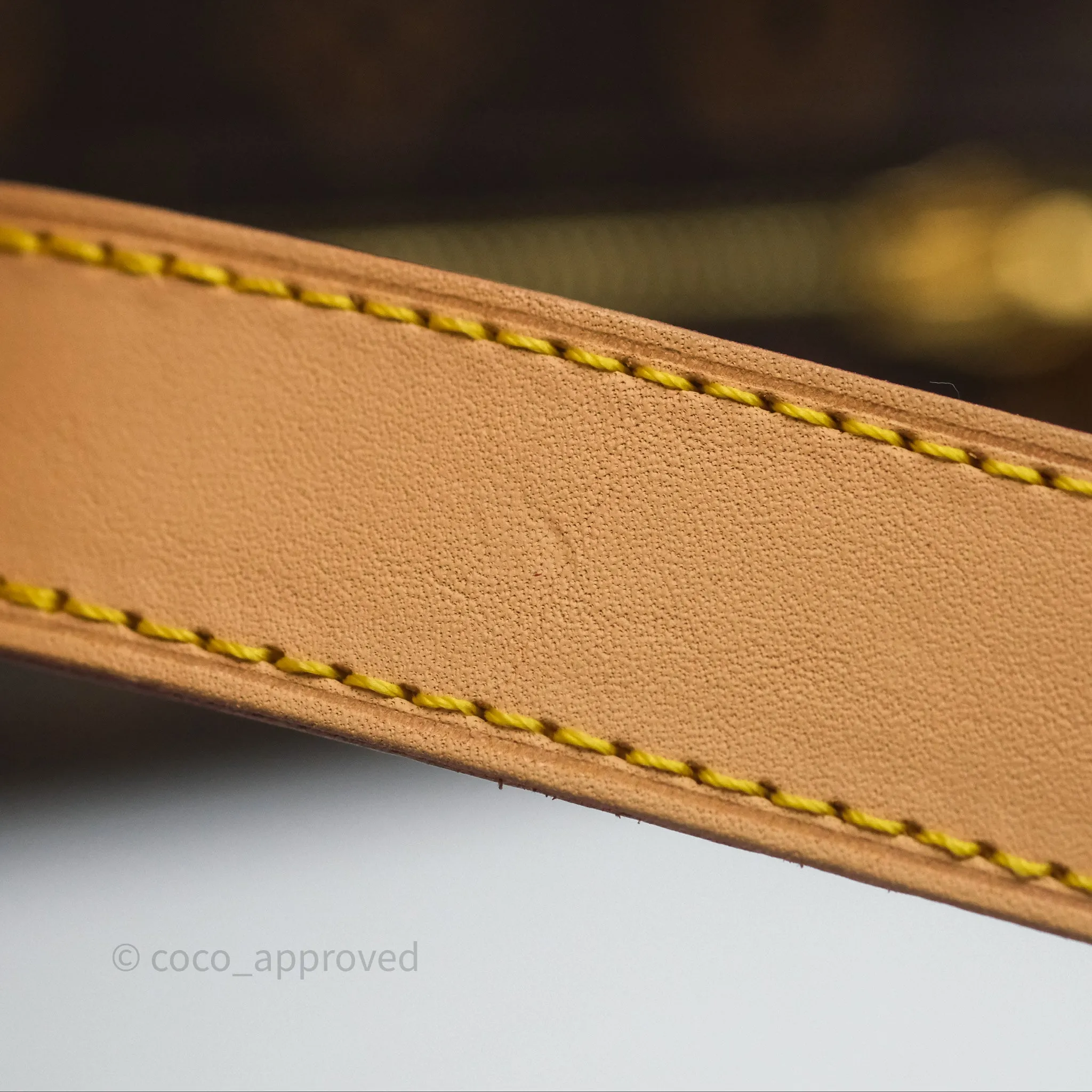 Louis Vuitton Bum Bag Monogram Canvas