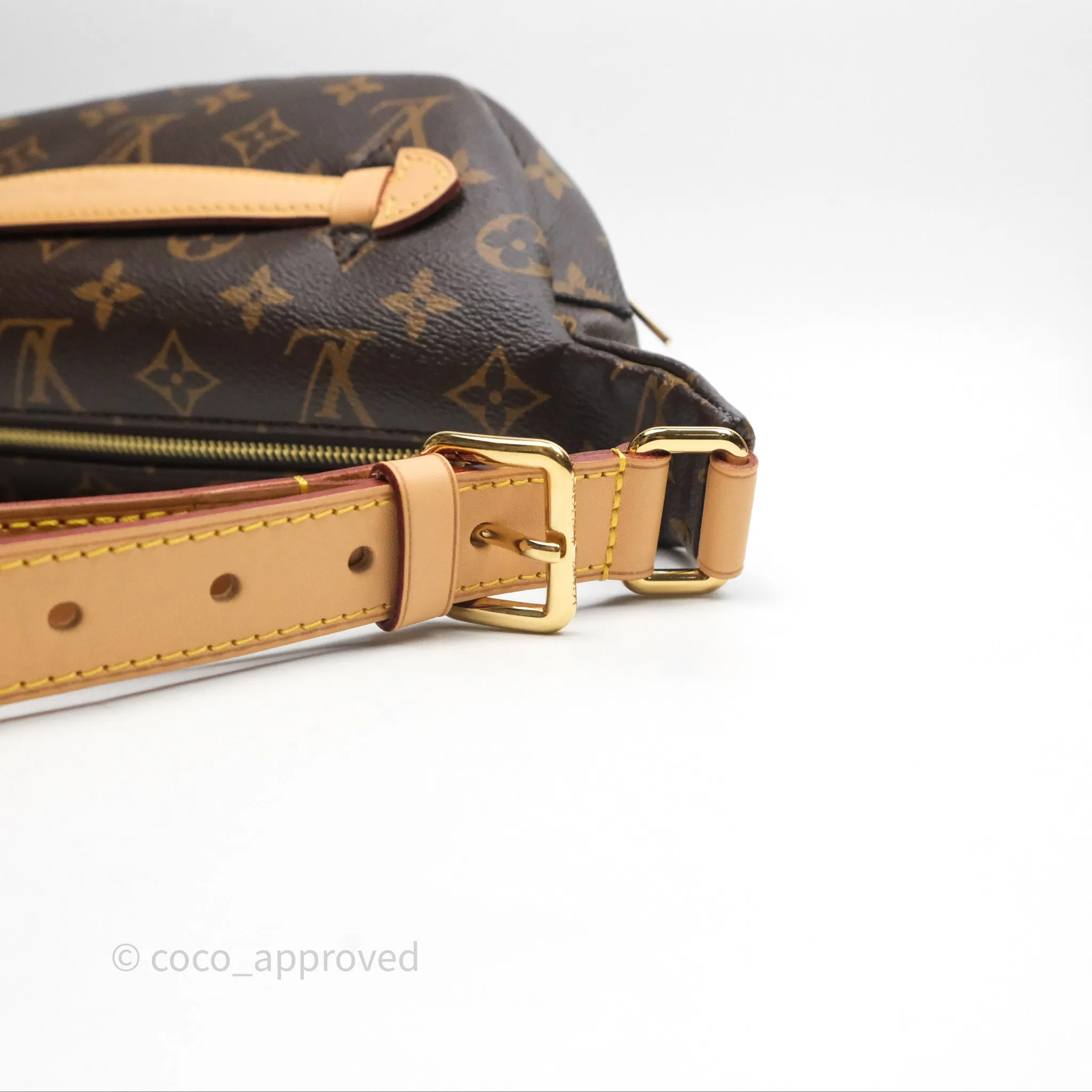 Louis Vuitton Bum Bag Monogram Canvas