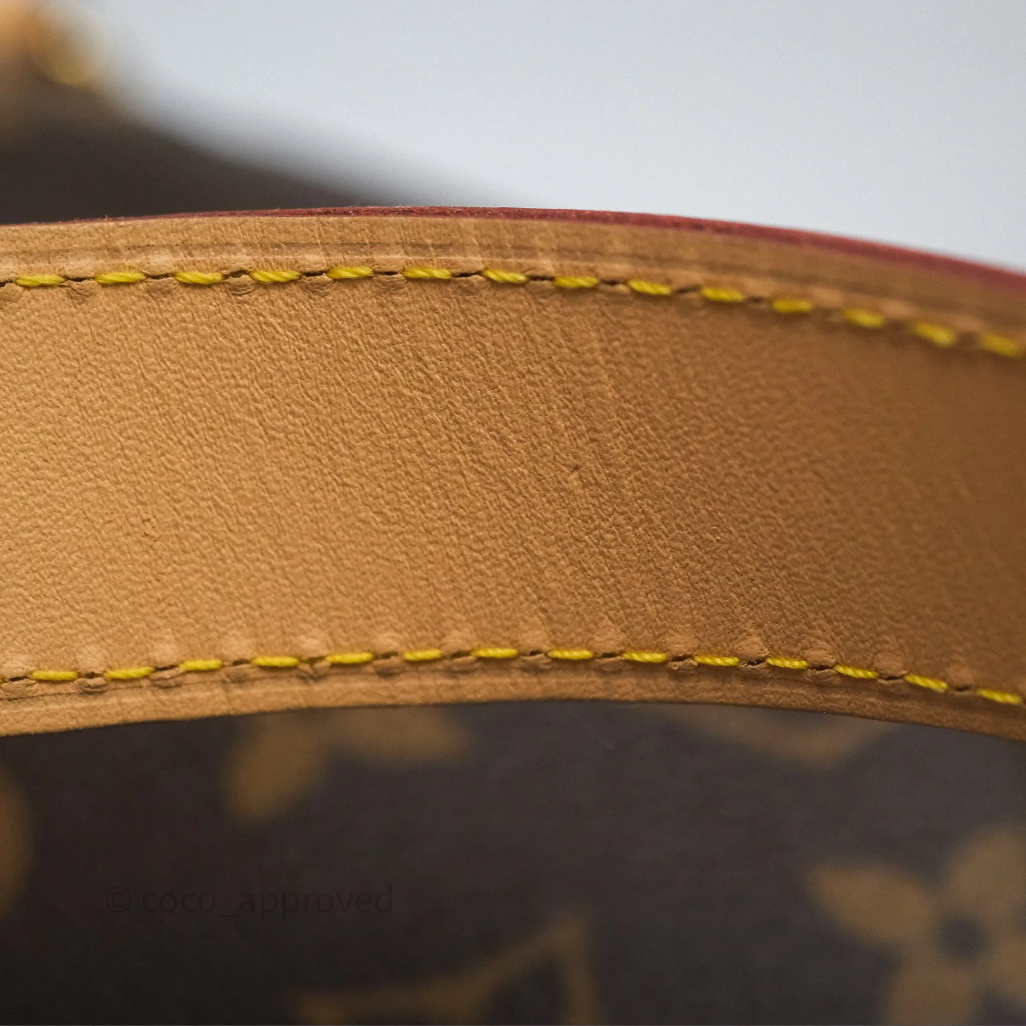 Louis Vuitton Bum Bag Monogram Canvas