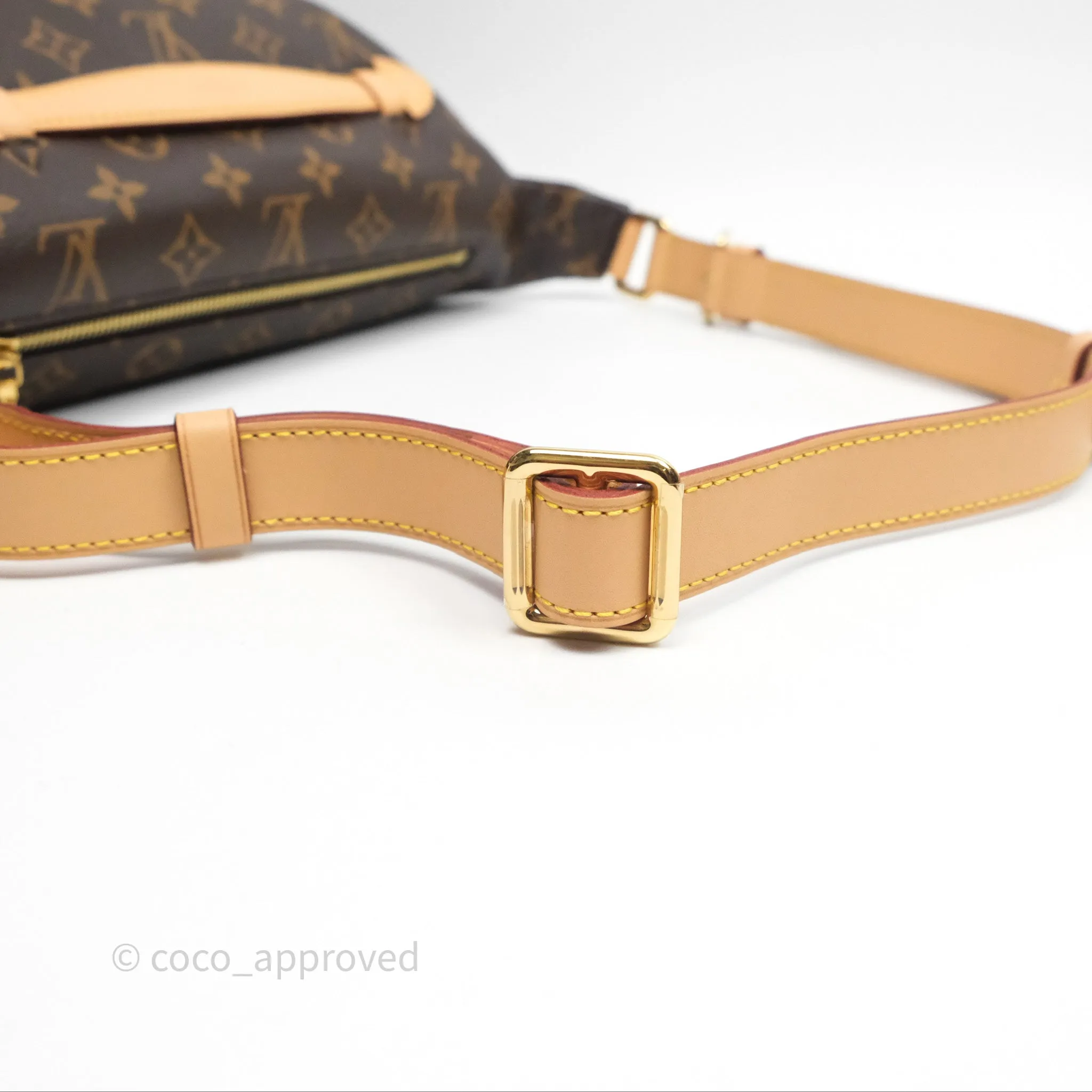 Louis Vuitton Bum Bag Monogram Canvas