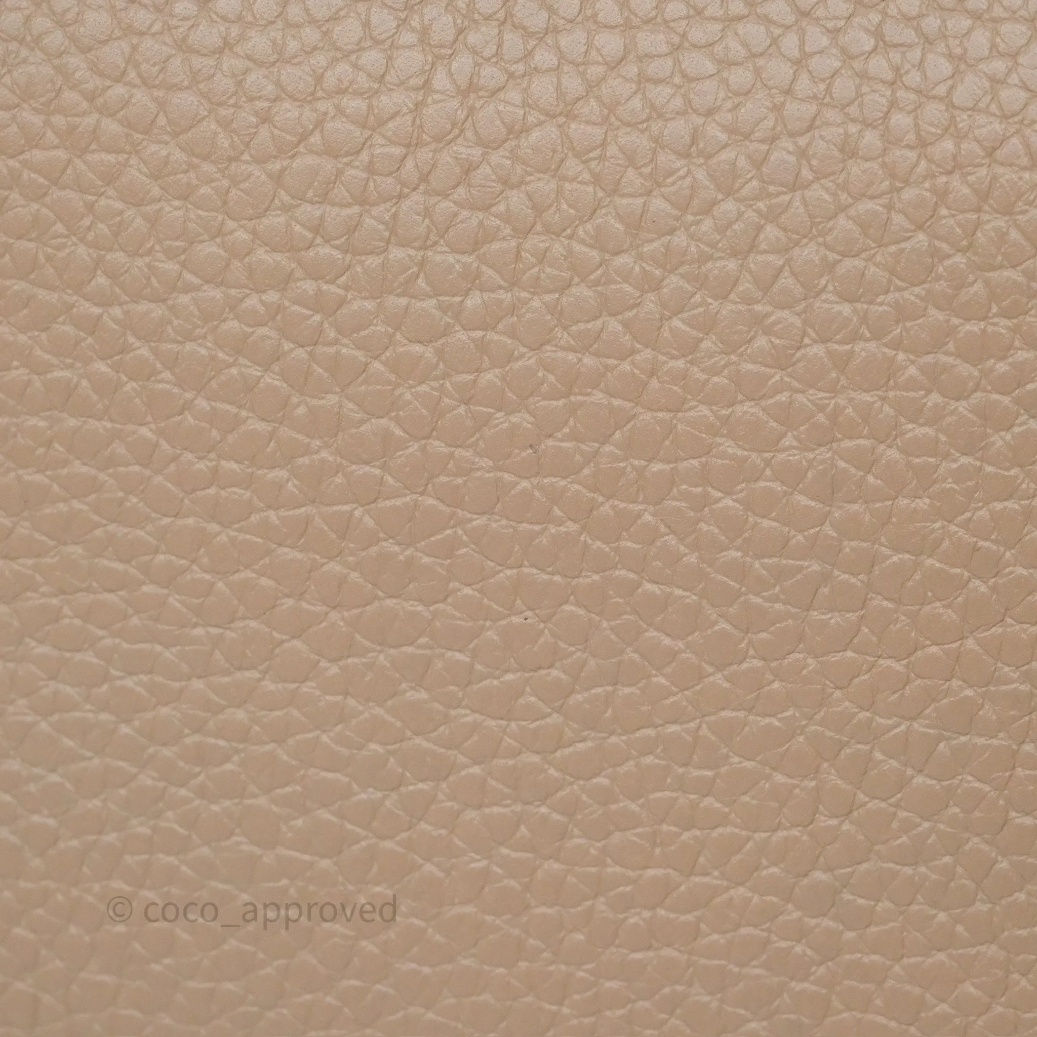 Louis Vuitton Capucines BB Taurillon Leather Galet