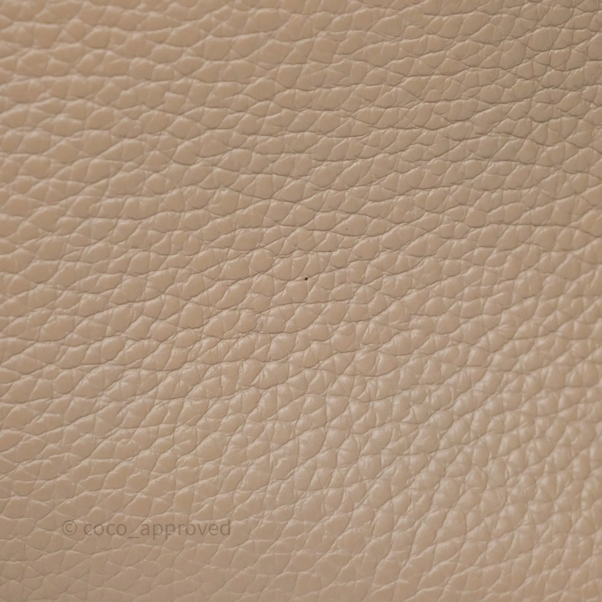Louis Vuitton Capucines BB Taurillon Leather Galet