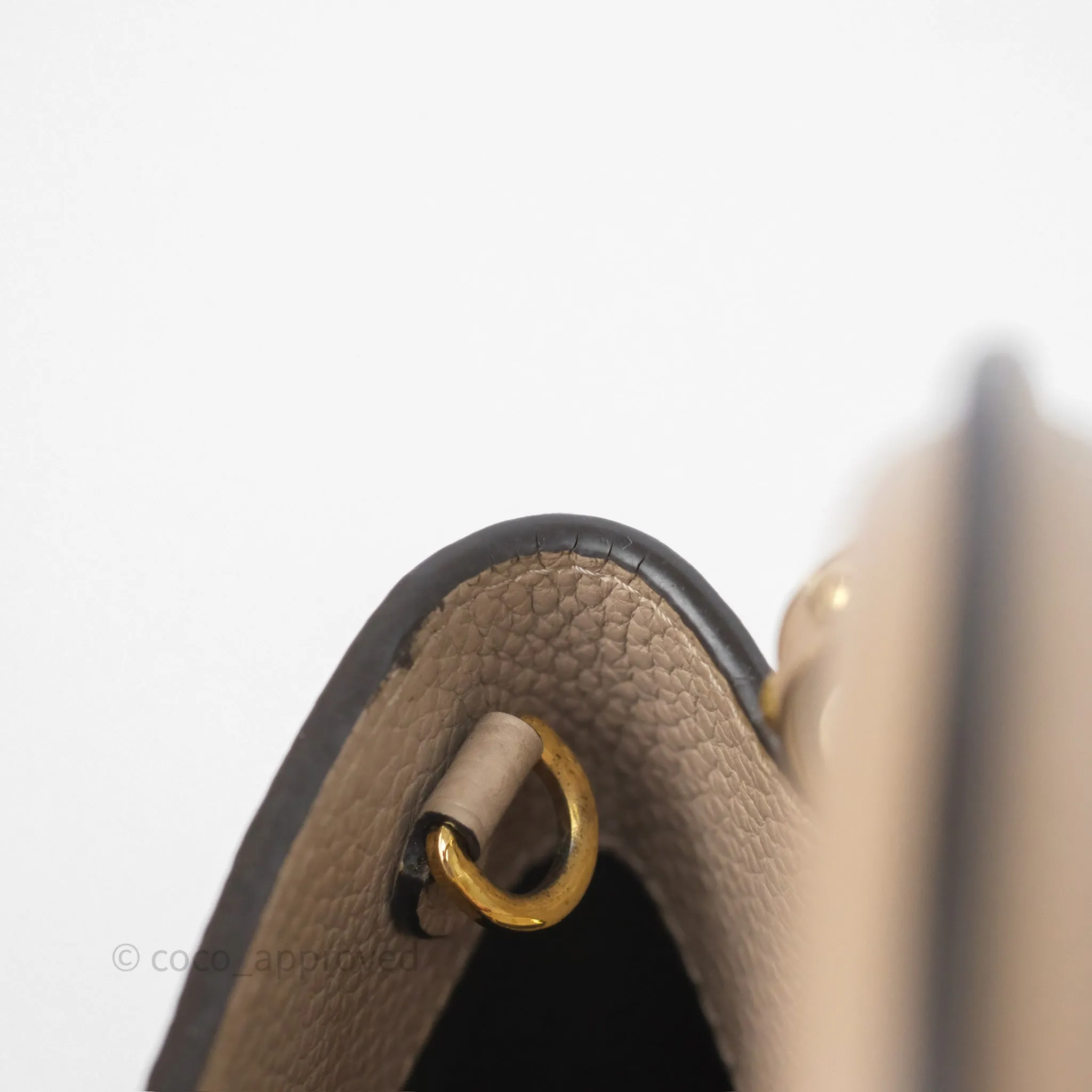 Louis Vuitton Capucines BB Taurillon Leather Galet