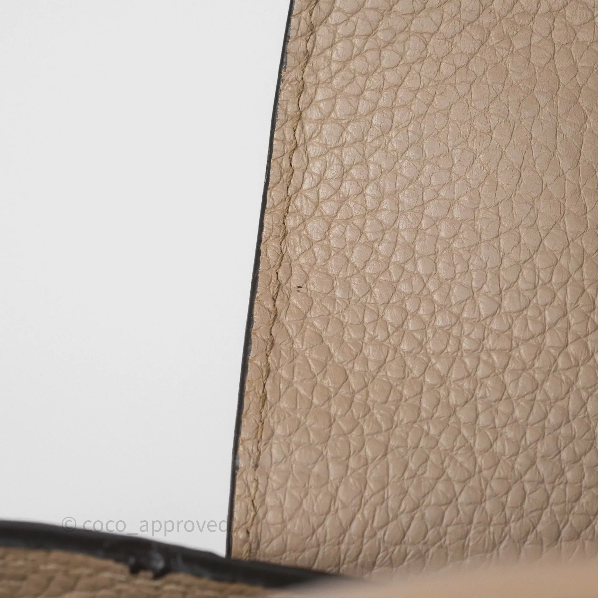 Louis Vuitton Capucines BB Taurillon Leather Galet