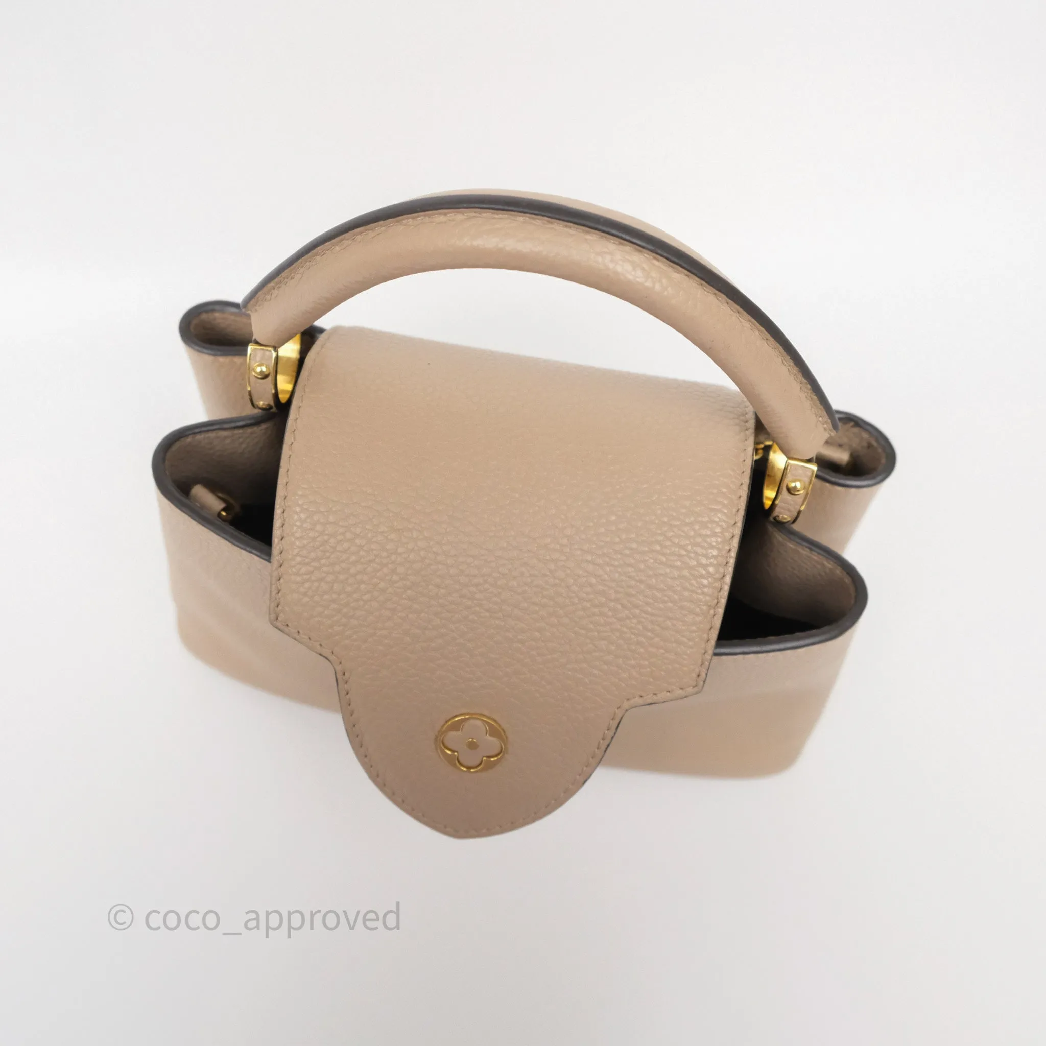 Louis Vuitton Capucines BB Taurillon Leather Galet