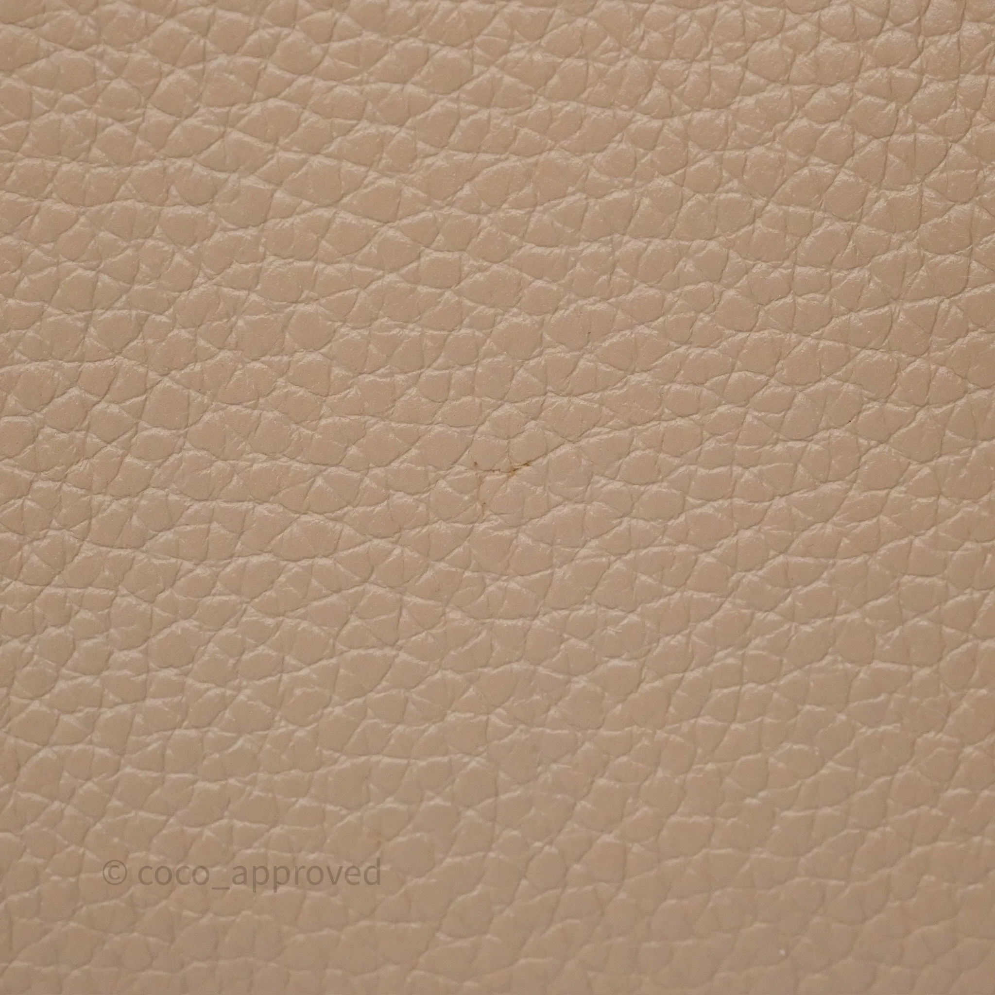 Louis Vuitton Capucines BB Taurillon Leather Galet