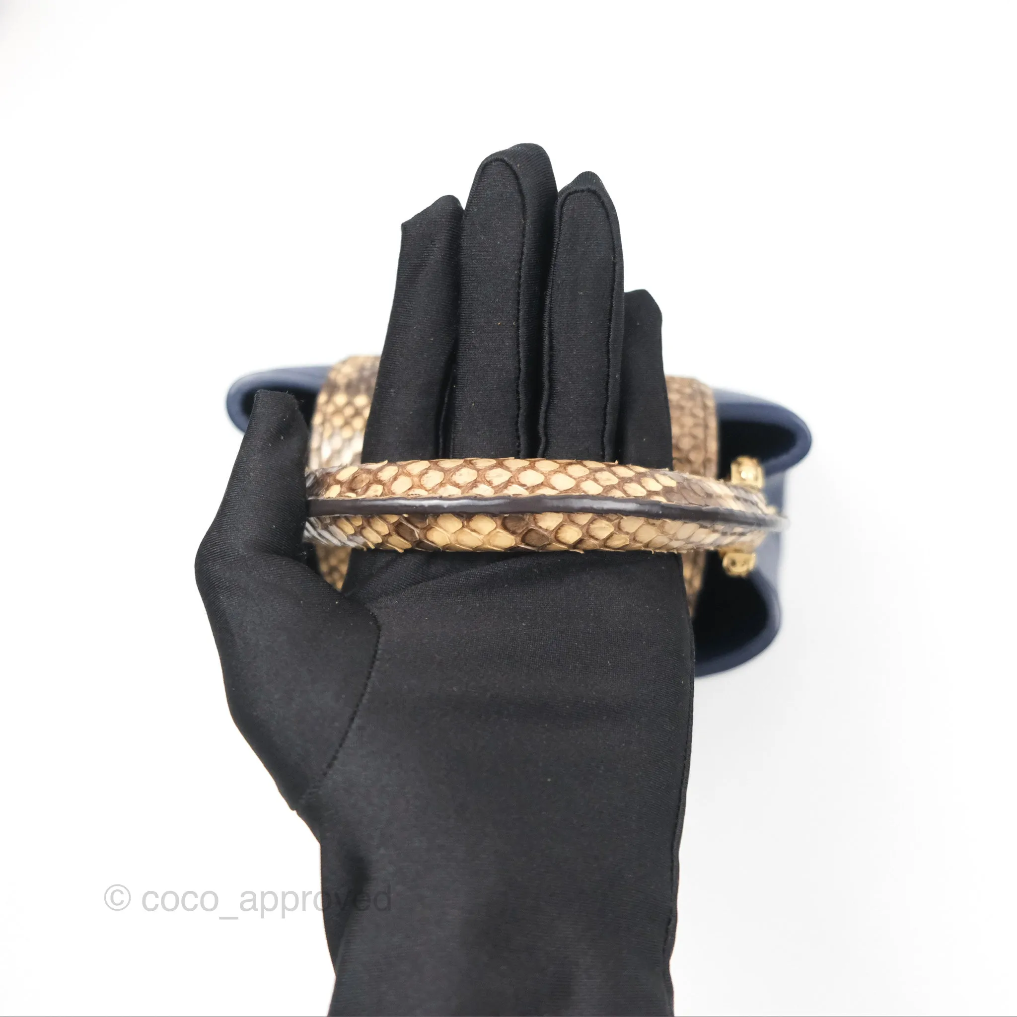 Louis Vuitton Capucines Mini Navy in Taurillon Leather and Python Leather