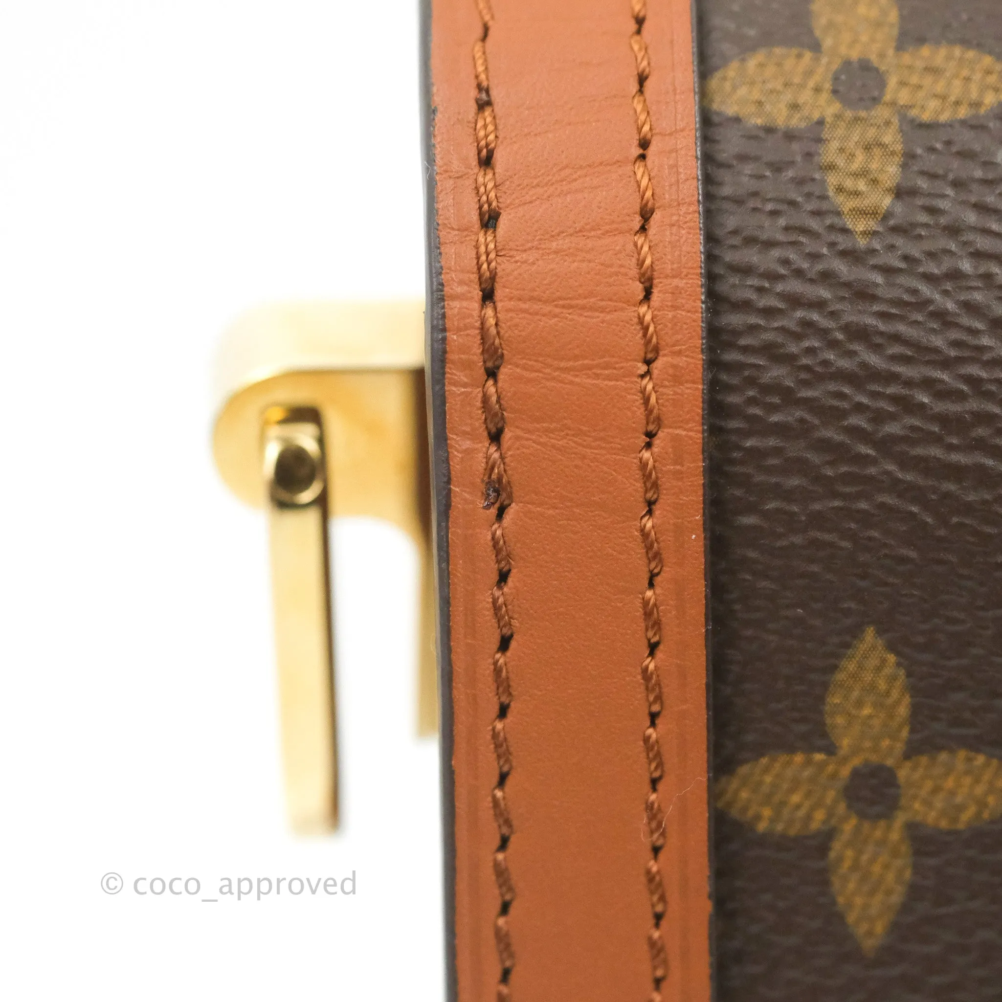 Louis Vuitton Dauphine Bag MM Monogram Canvas