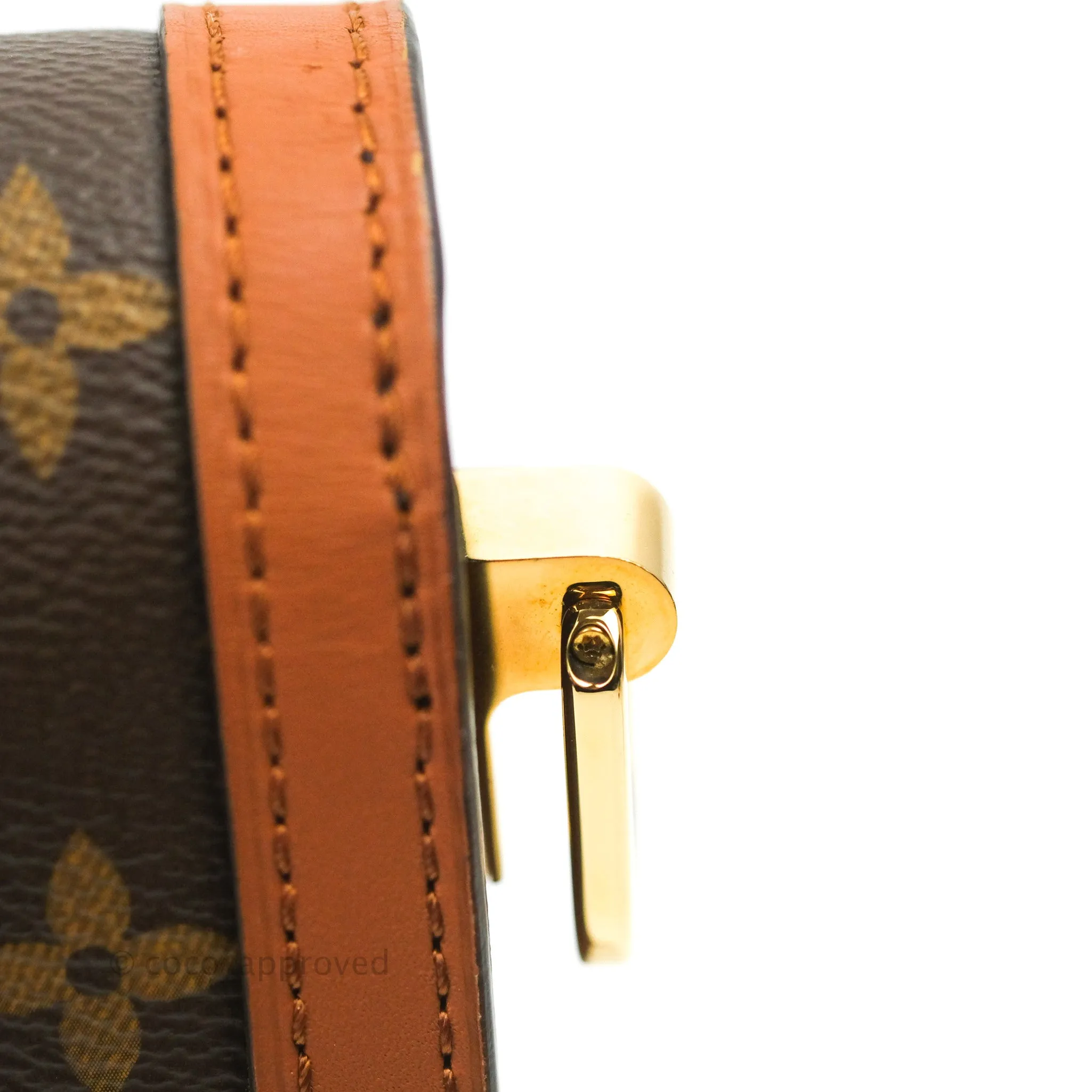Louis Vuitton Dauphine Bag MM Monogram Canvas