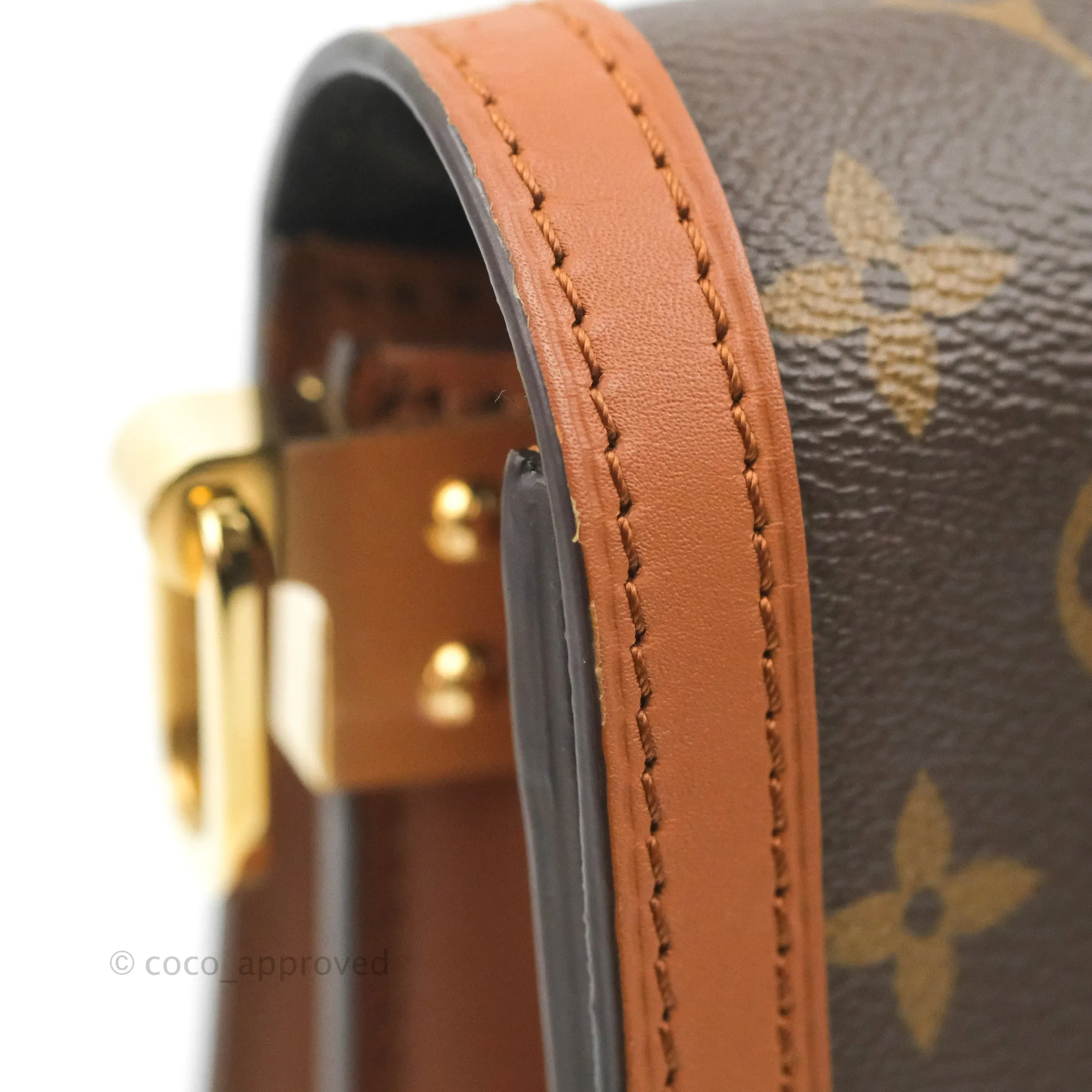 Louis Vuitton Dauphine Bag MM Monogram Canvas