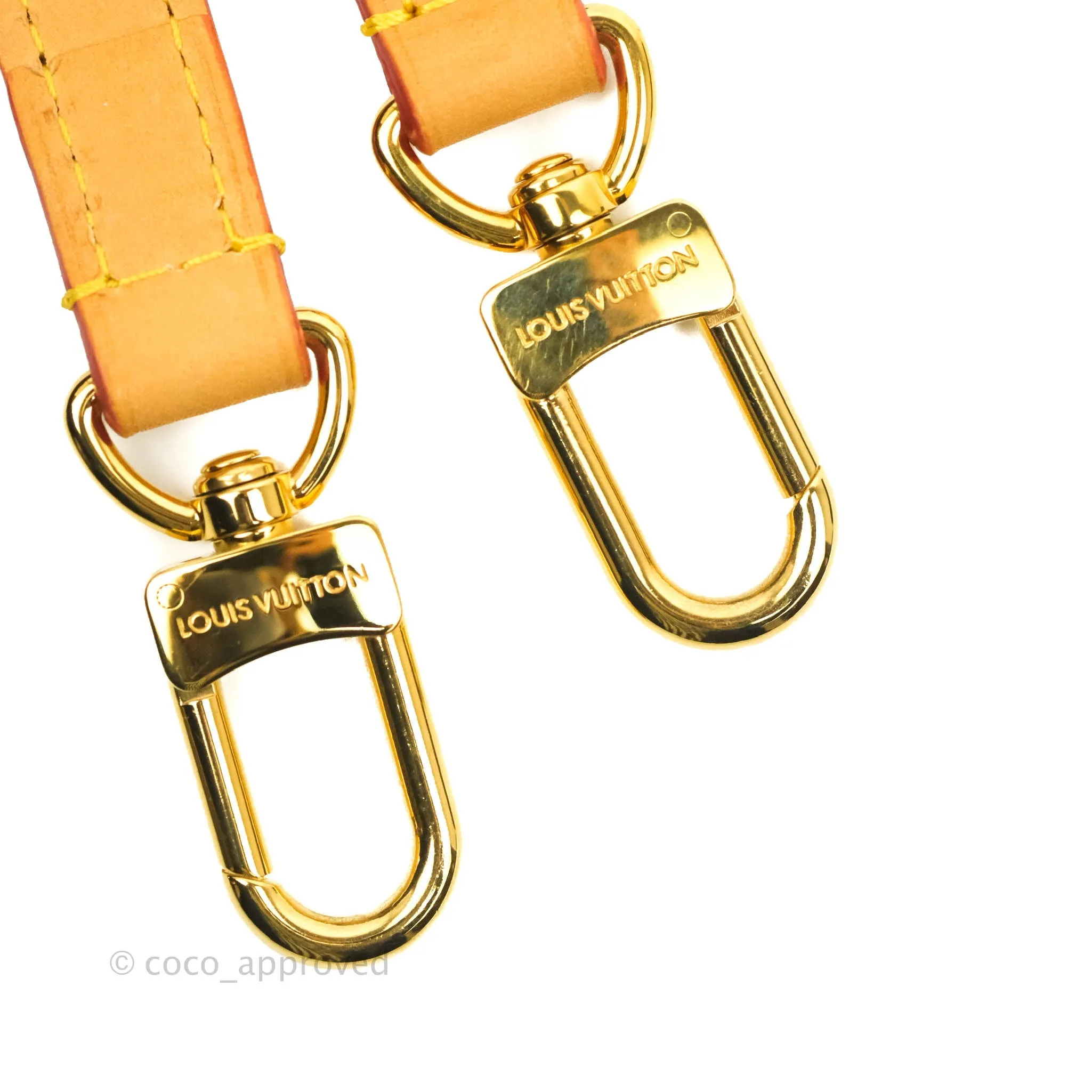 Louis Vuitton Diane Satchel Monogram Canvas with Jacquard Strap