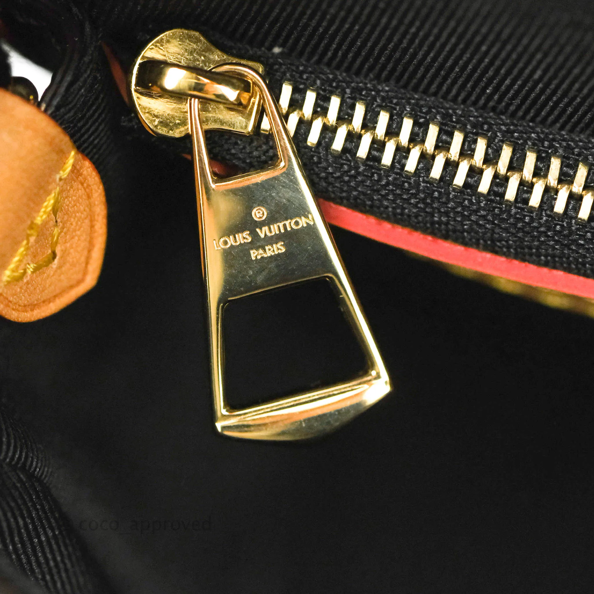 Louis Vuitton Diane Satchel Monogram Canvas with Jacquard Strap