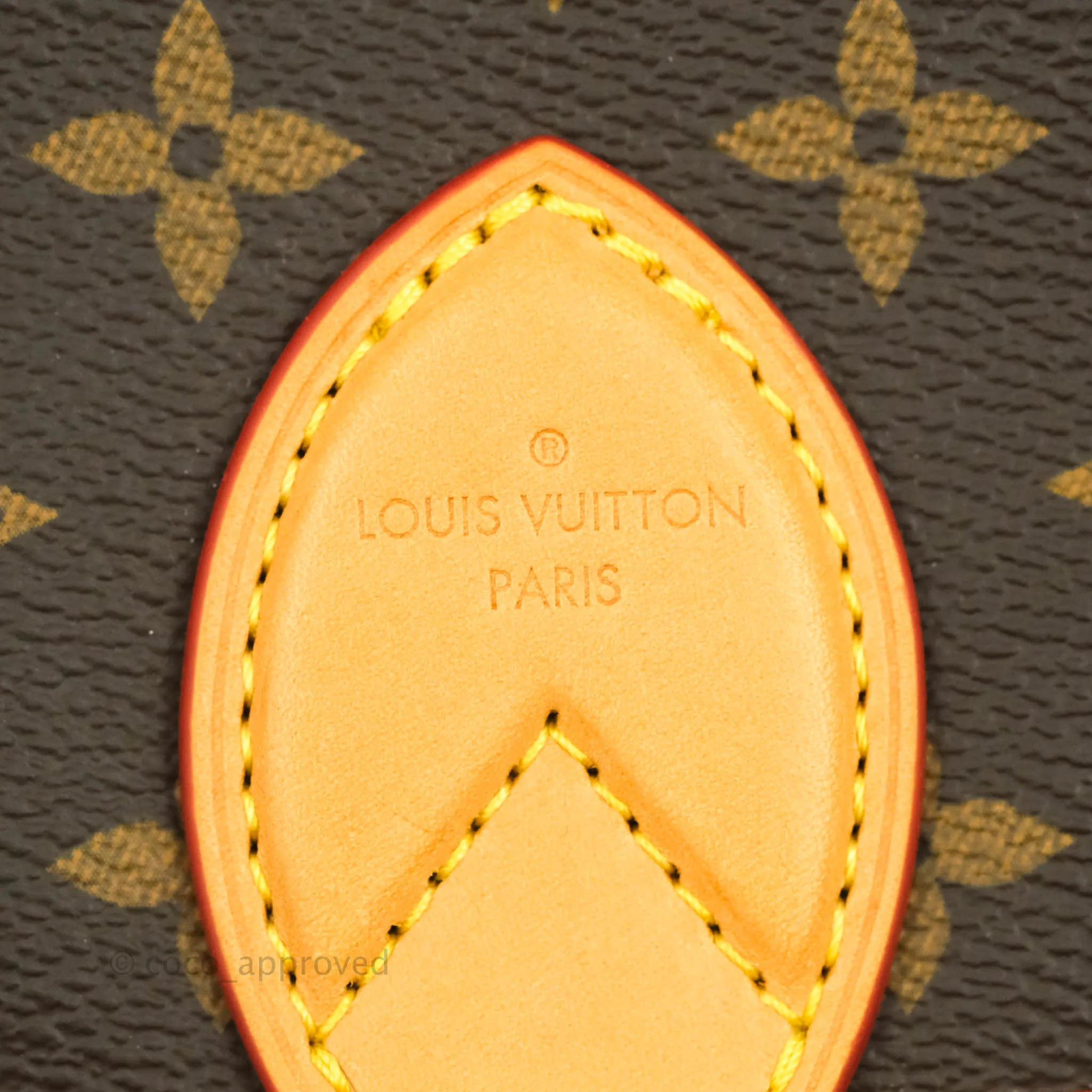 Louis Vuitton Diane Satchel Monogram Canvas with Jacquard Strap