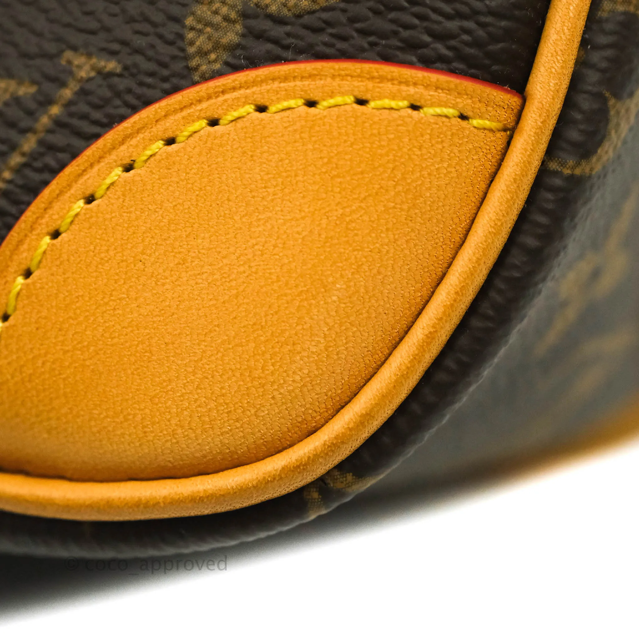 Louis Vuitton Diane Satchel Monogram Canvas with Jacquard Strap