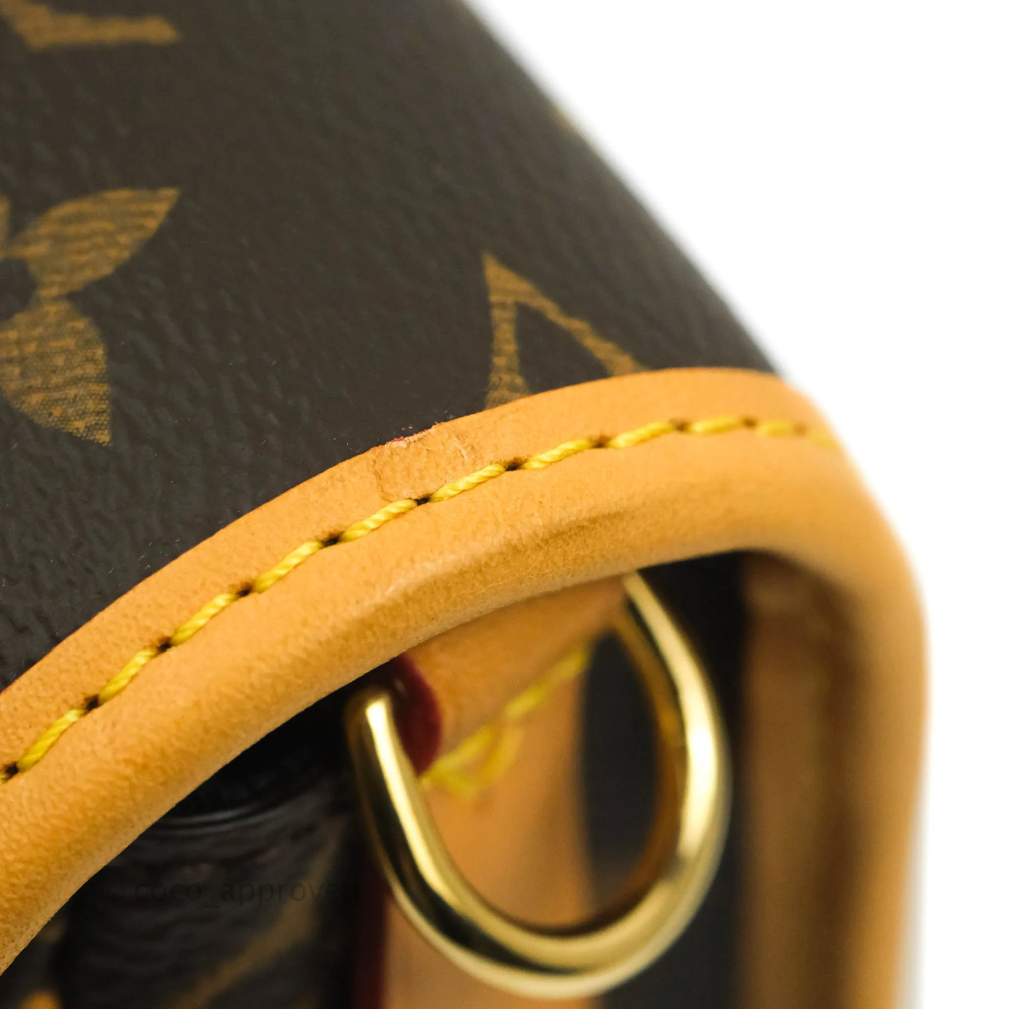 Louis Vuitton Diane Satchel Monogram Canvas with Jacquard Strap