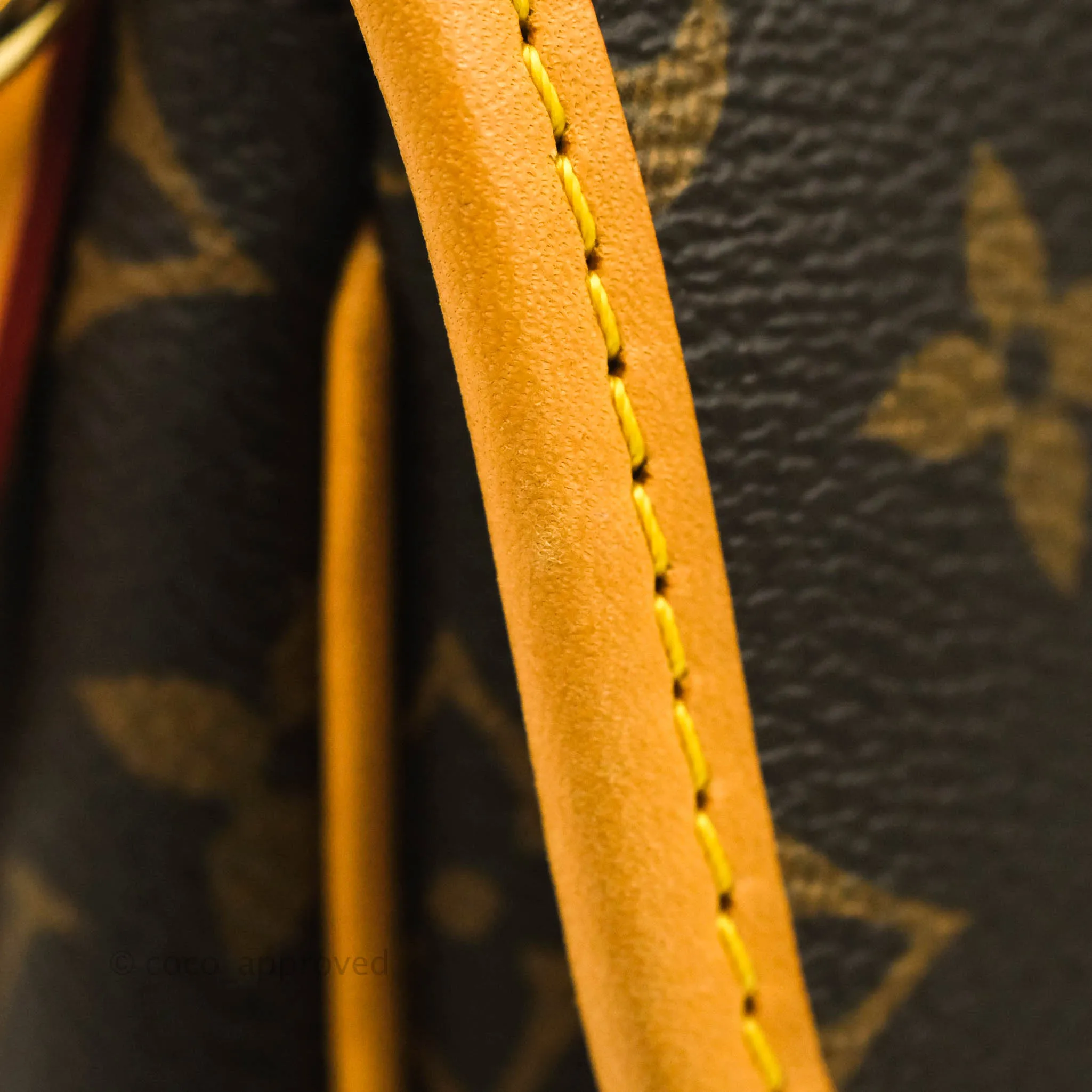 Louis Vuitton Diane Satchel Monogram Canvas with Jacquard Strap