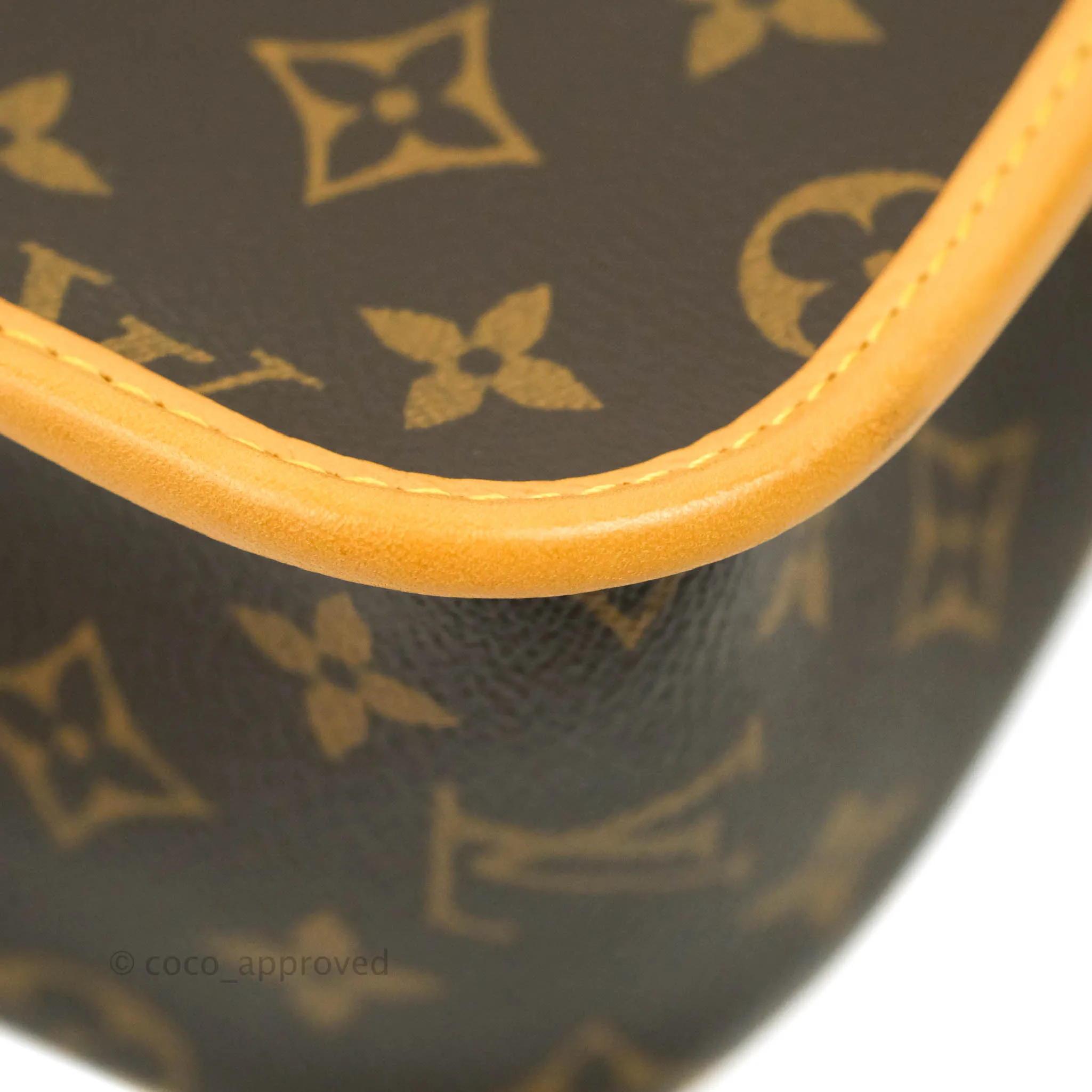 Louis Vuitton Diane Satchel Monogram Canvas with Jacquard Strap