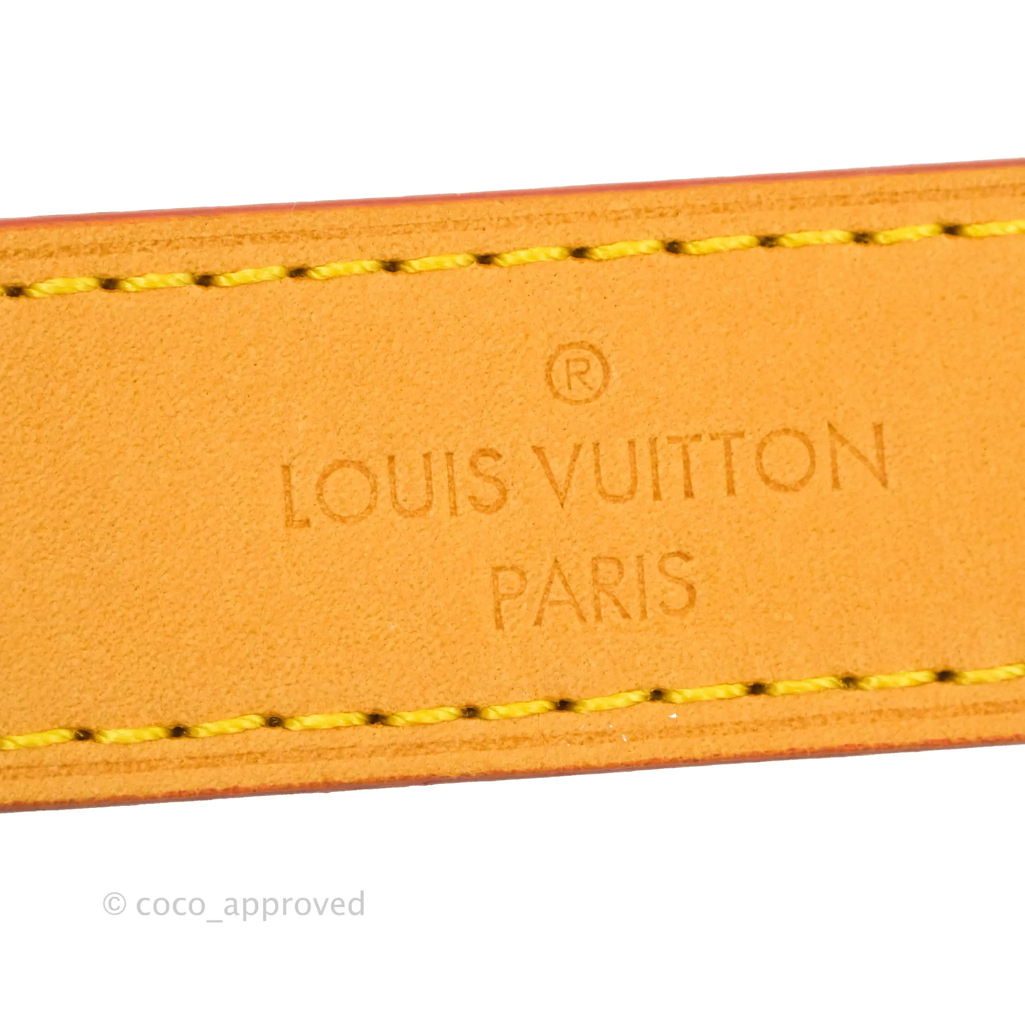 Louis Vuitton Diane Satchel Monogram Canvas with Jacquard Strap