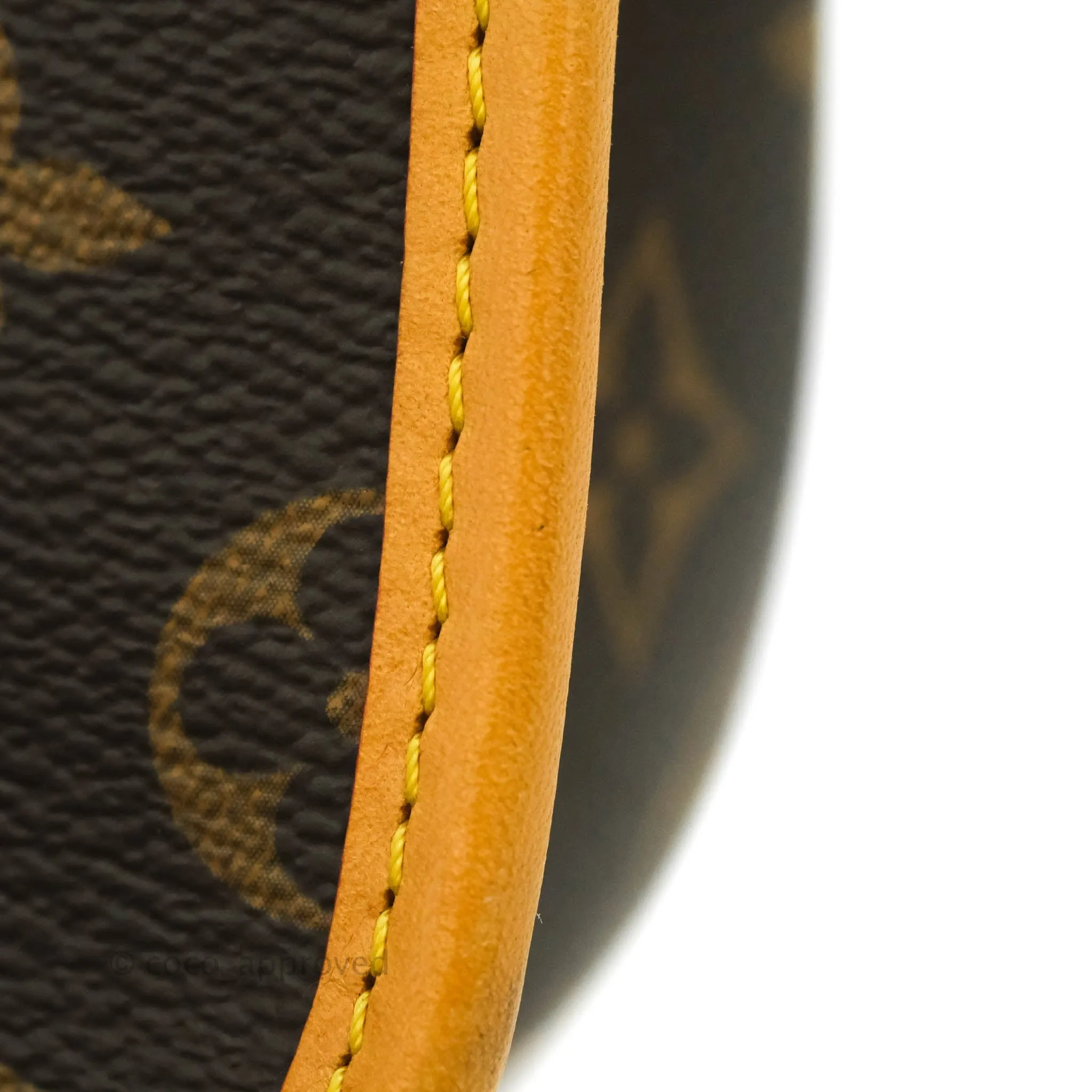 Louis Vuitton Diane Satchel Monogram Canvas with Jacquard Strap