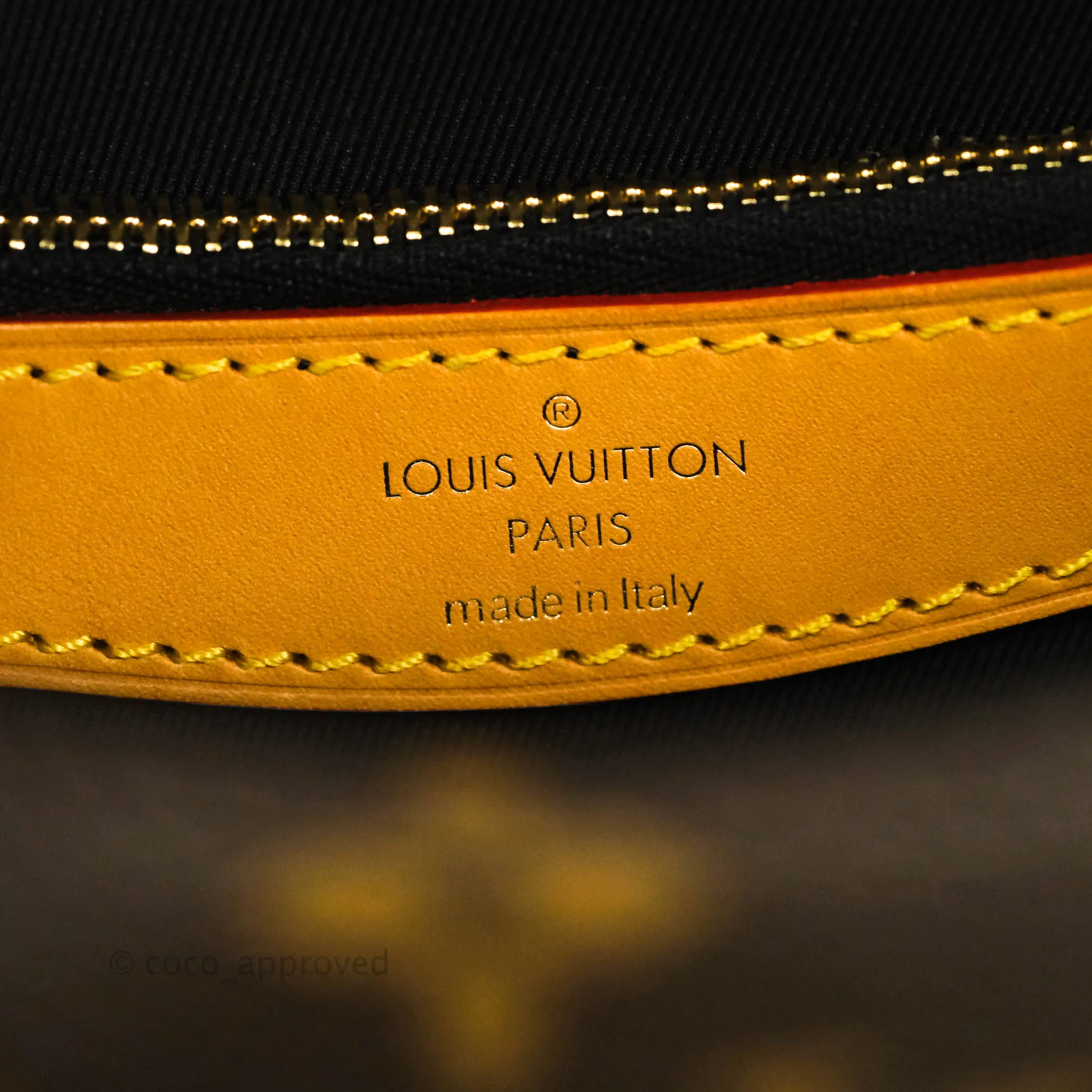 Louis Vuitton Diane Satchel Monogram Canvas with Jacquard Strap