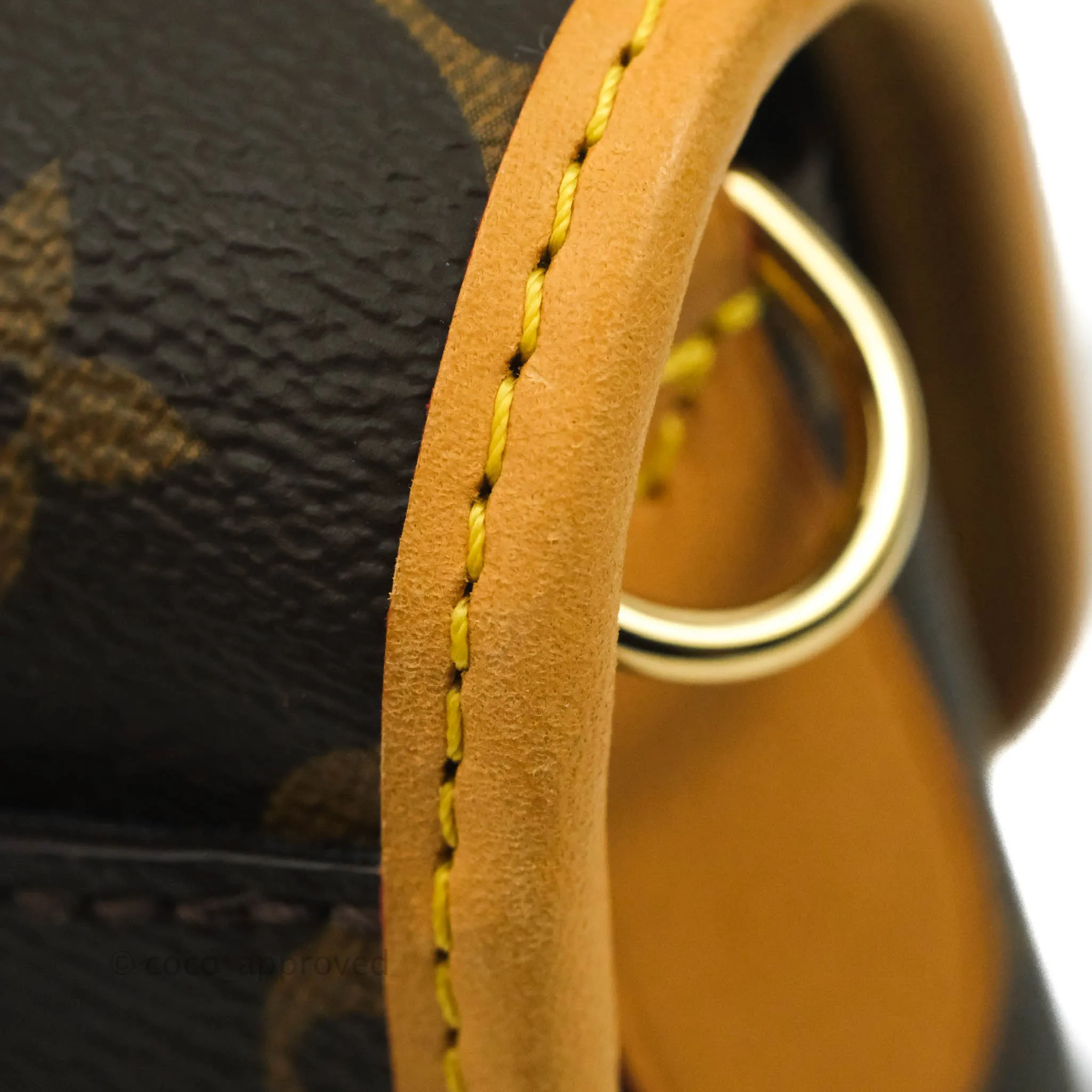Louis Vuitton Diane Satchel Monogram Canvas with Jacquard Strap