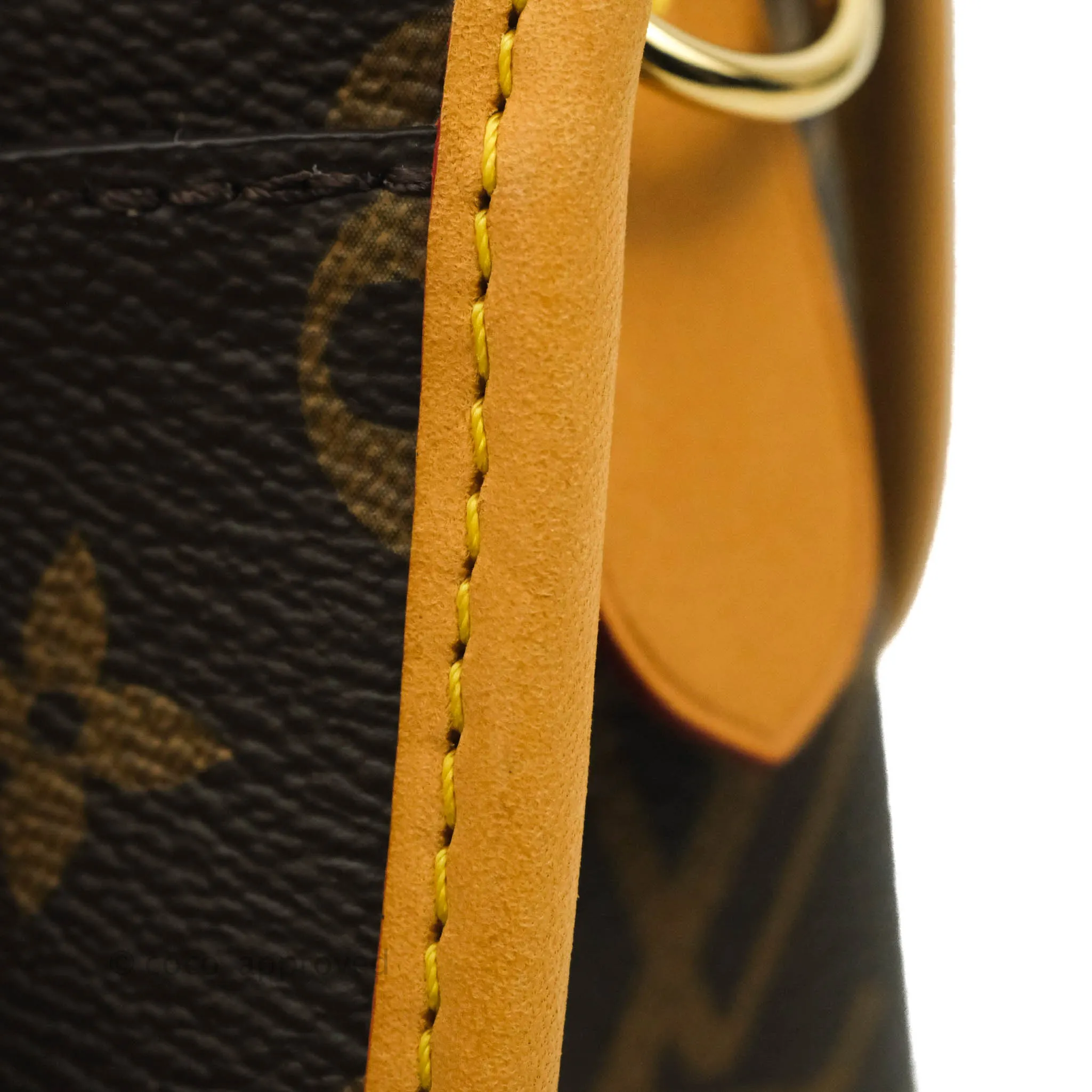 Louis Vuitton Diane Satchel Monogram Canvas with Jacquard Strap