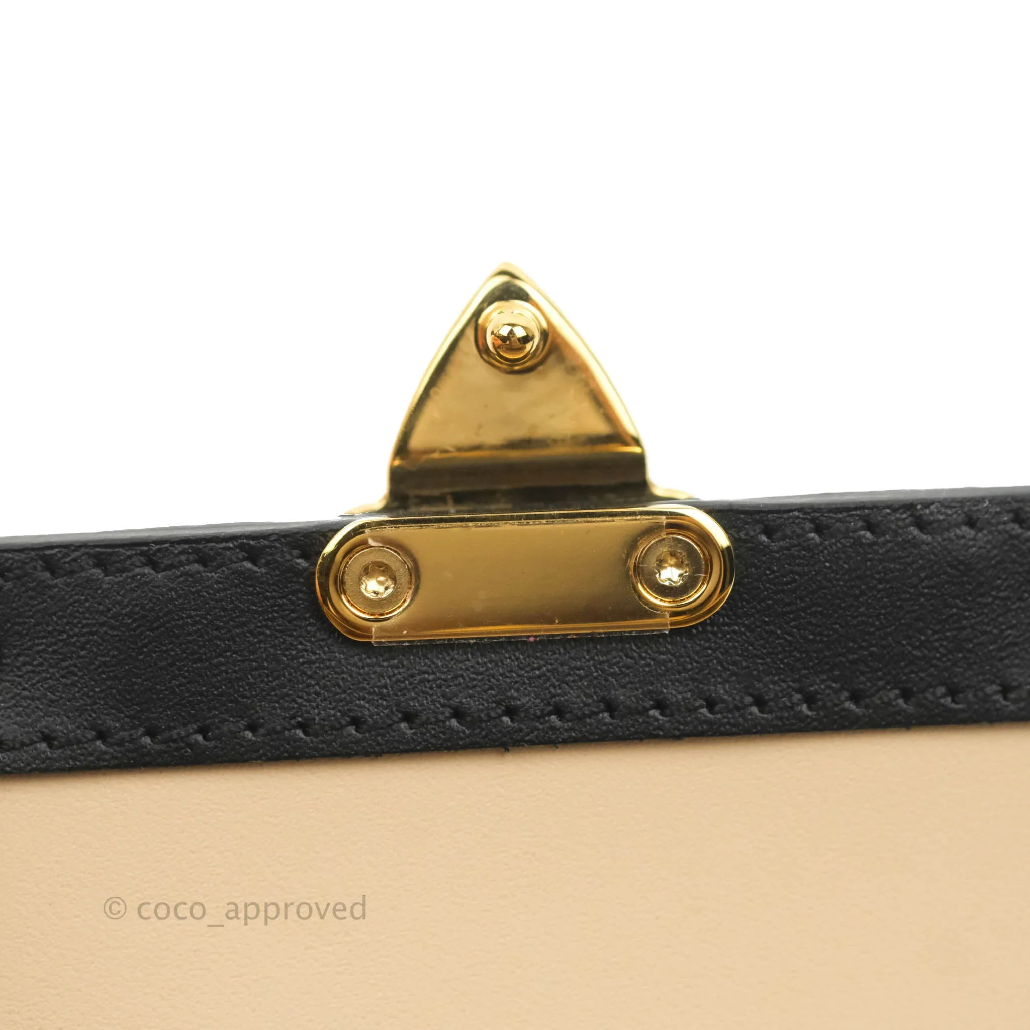 Louis Vuitton Essential Trunk Bag Monogram