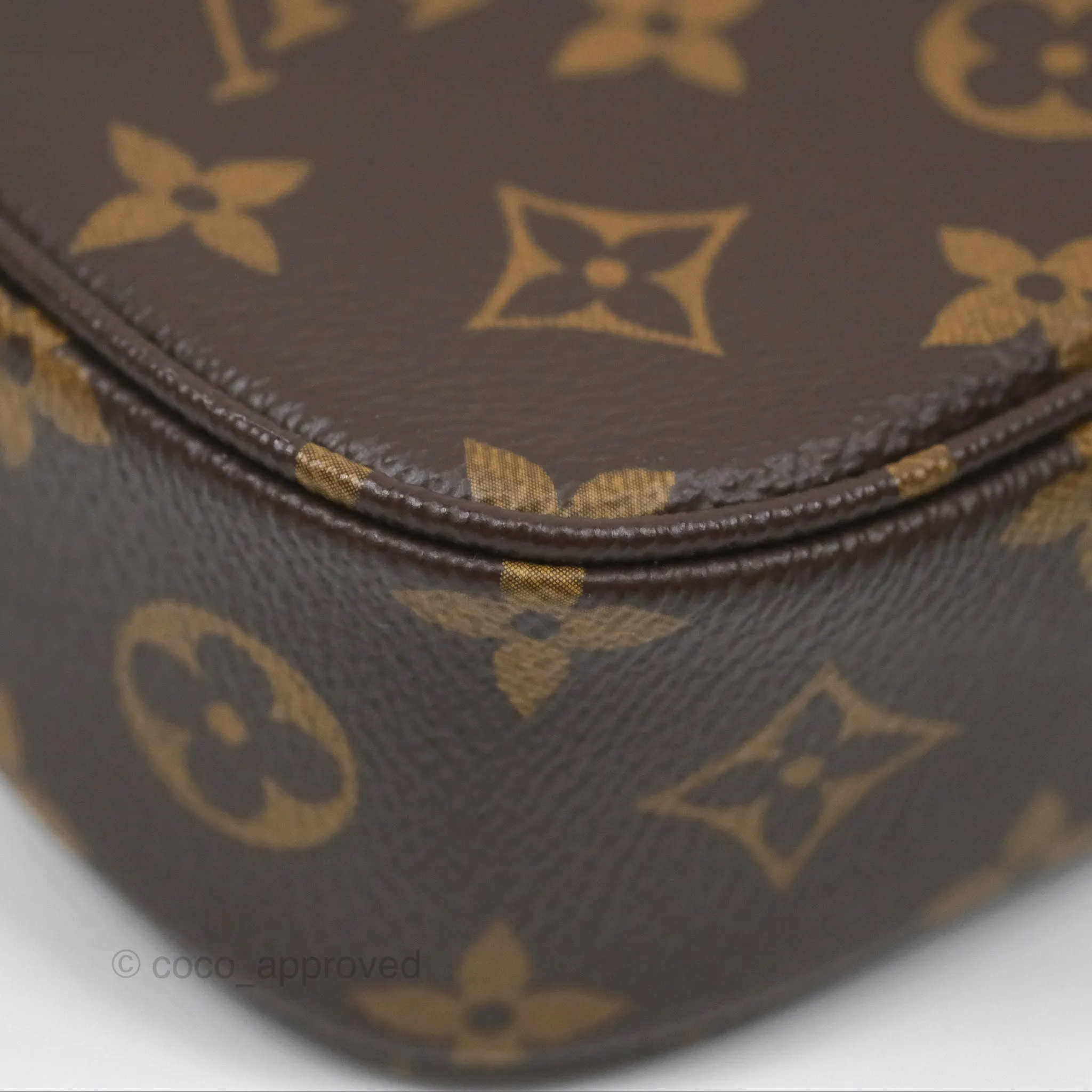 Louis Vuitton Ivy Wallet on Chain Monogram Canvas