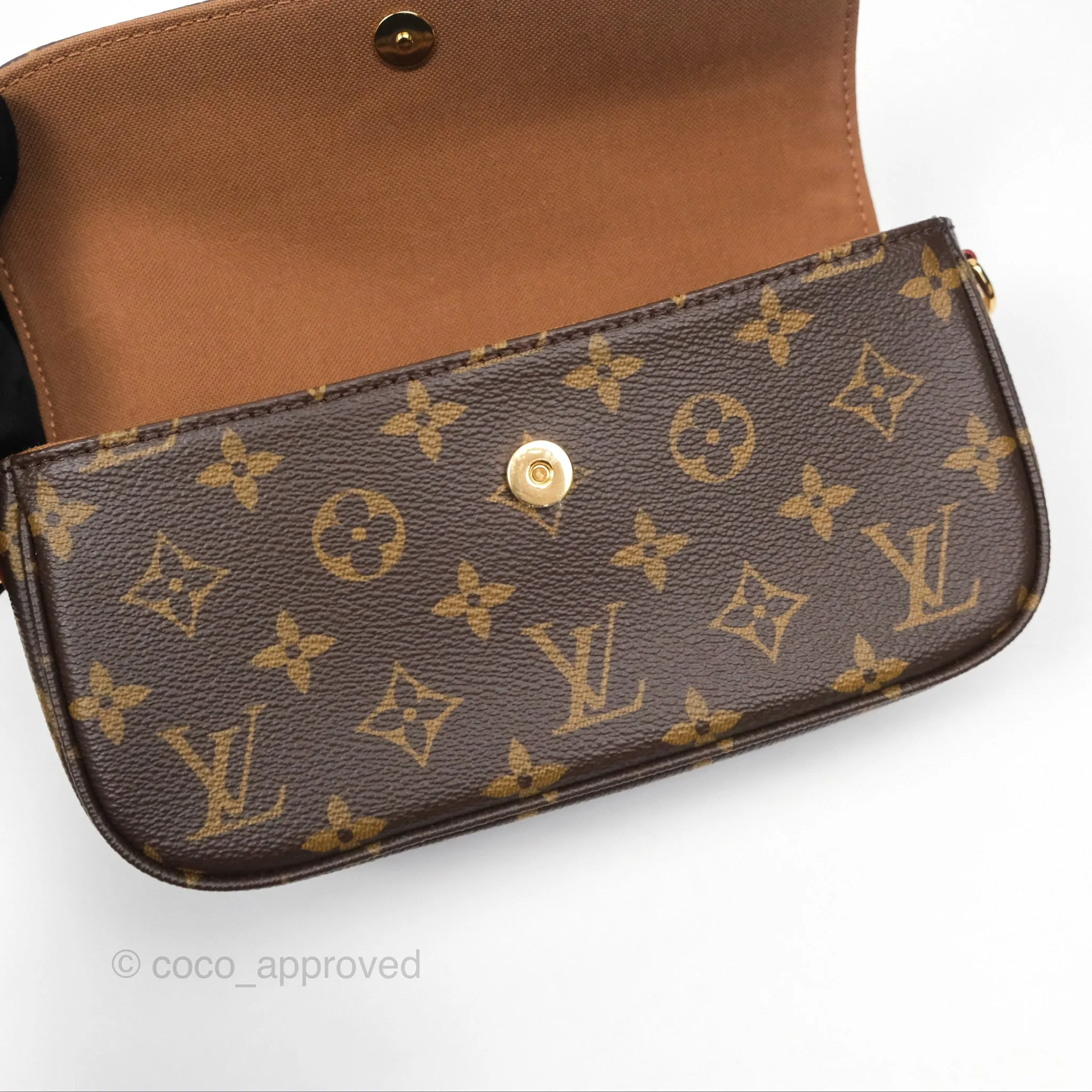 Louis Vuitton Ivy Wallet on Chain Monogram Canvas