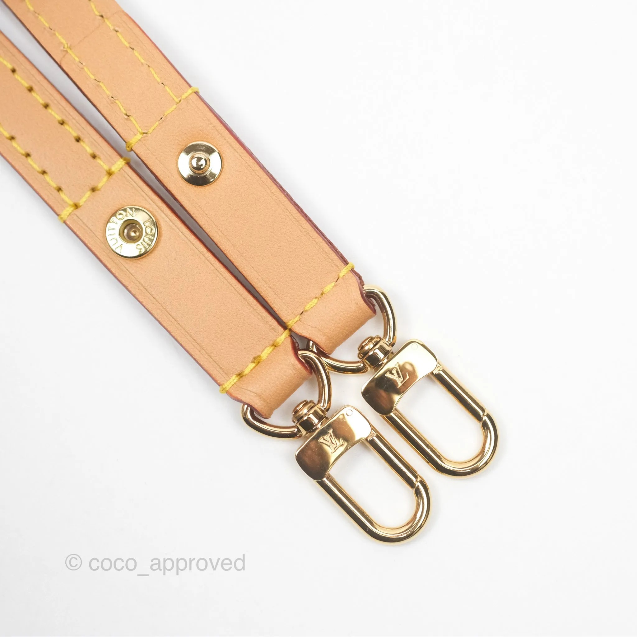 Louis Vuitton Ivy Wallet on Chain Monogram Canvas