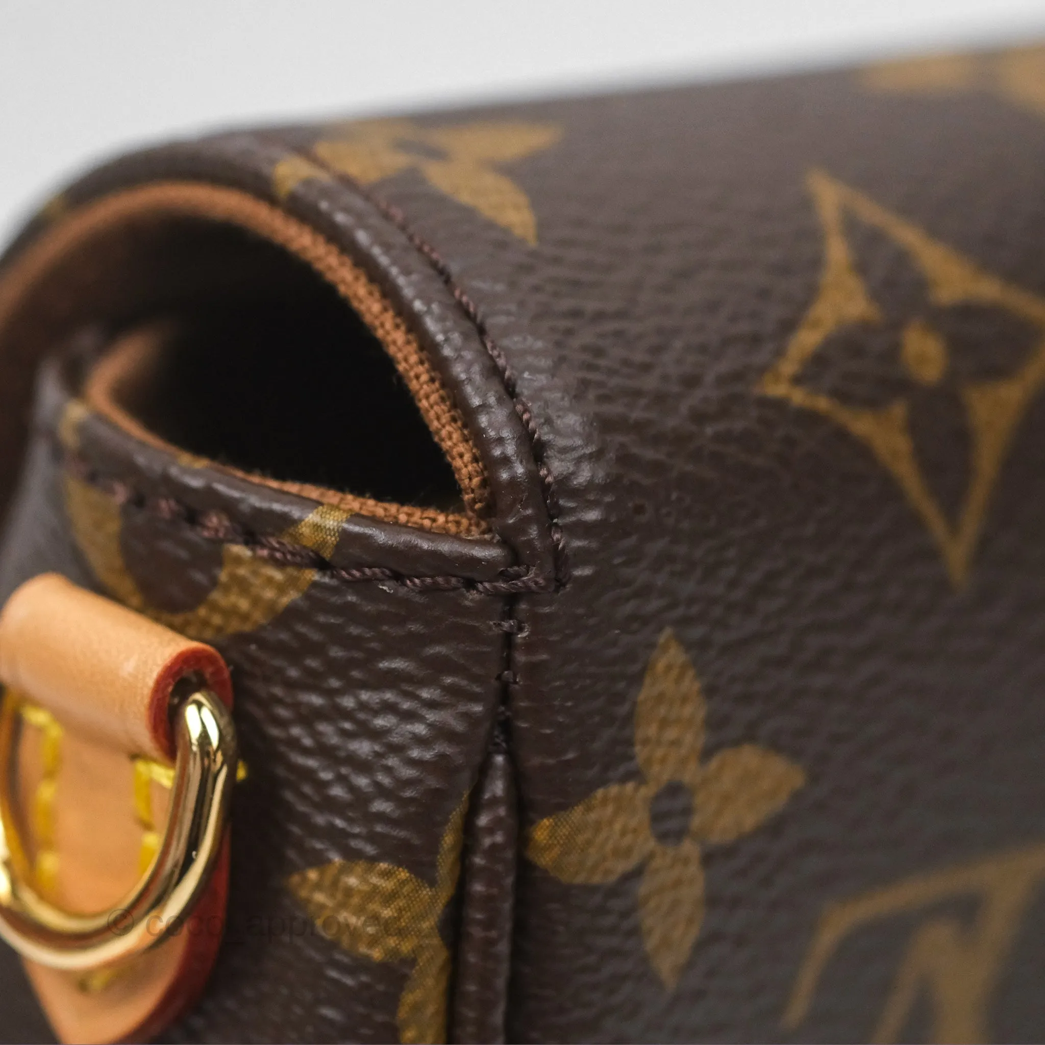 Louis Vuitton Ivy Wallet on Chain Monogram Canvas